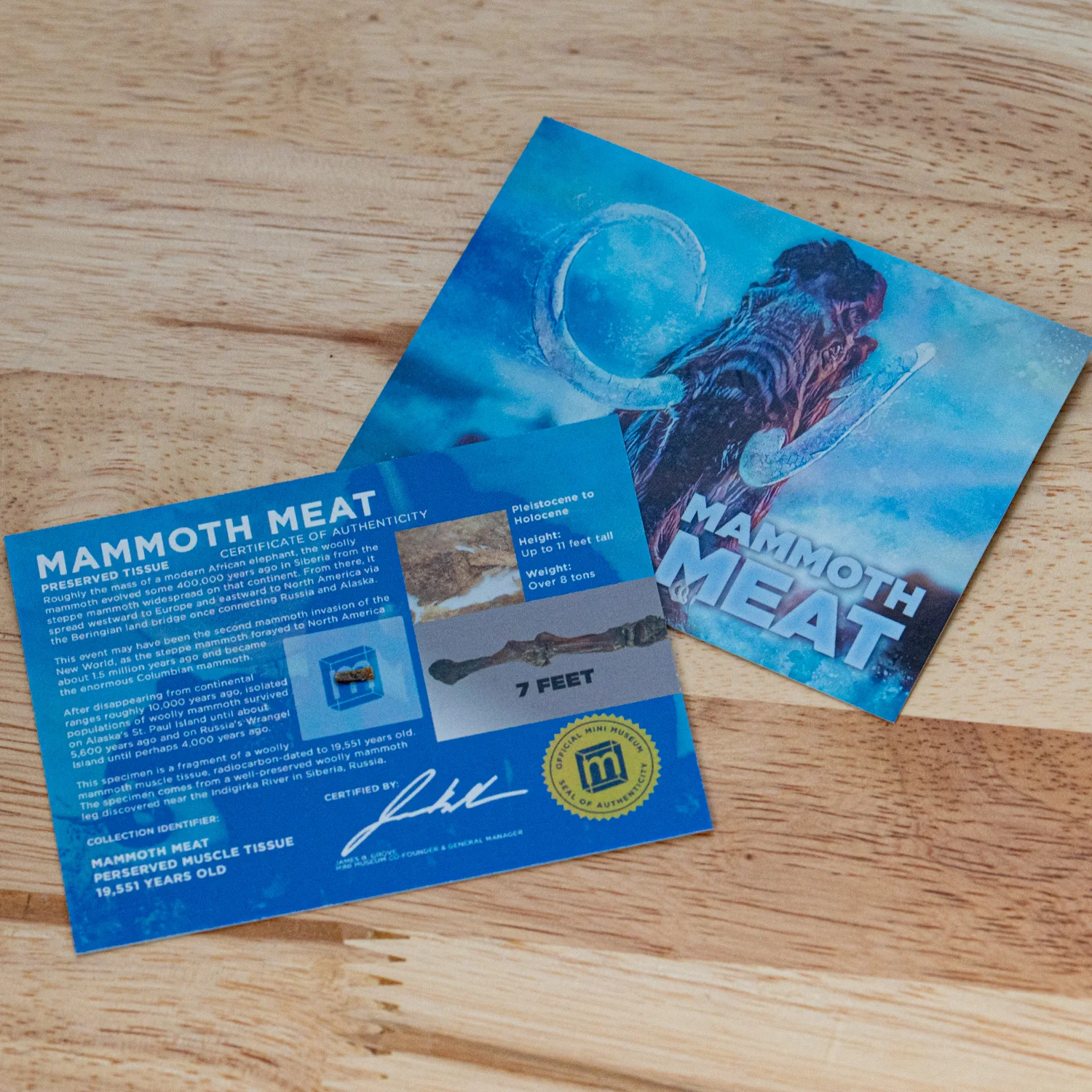 Mammoth Meat - Display Card - Image 2
