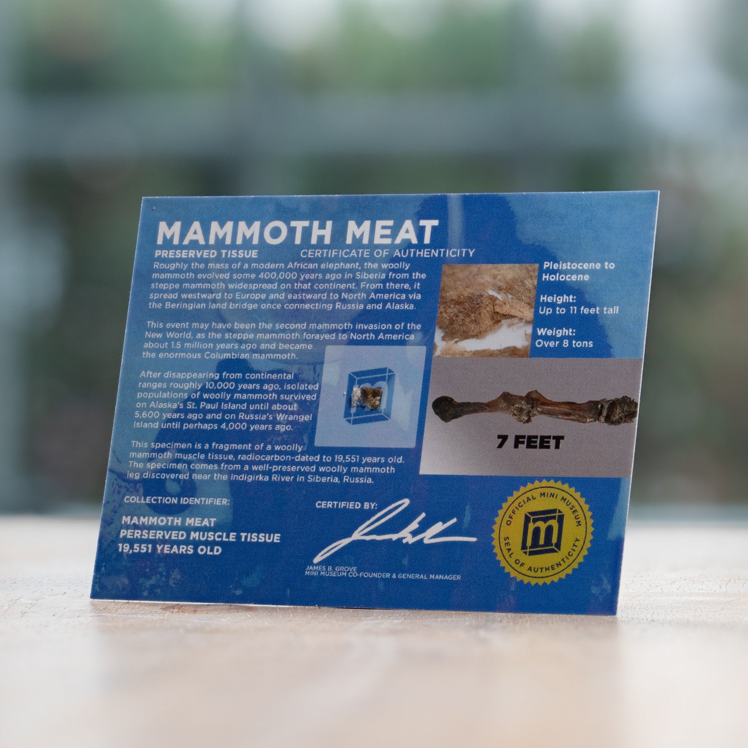 Mammoth Meat - Display Card - Image 3