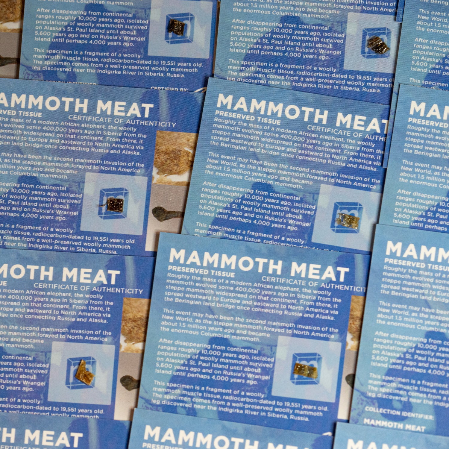 Mammoth Meat - Display Card - Image 4