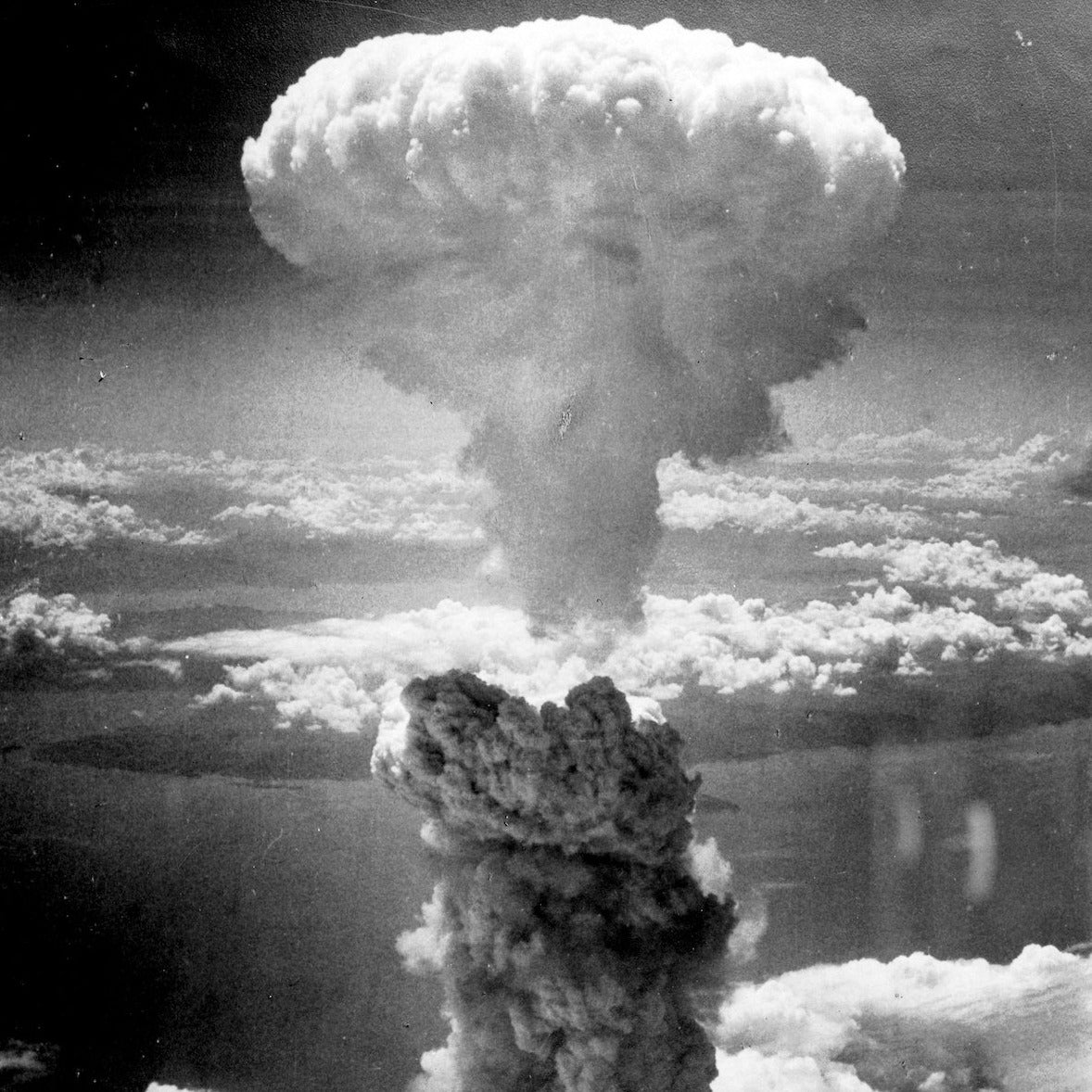 Manhattan Project Shield Window - Full Window 54" Wide - Image 4