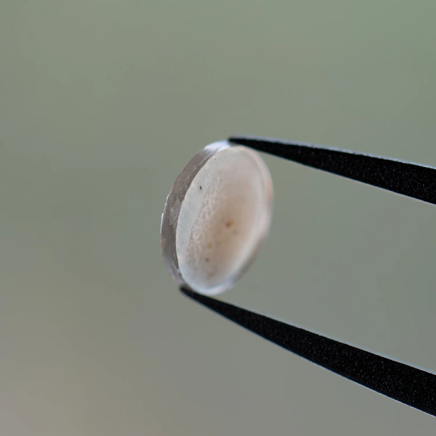 Martian Dust Storm NWA 7397 - Martian Meteorite - Image 9