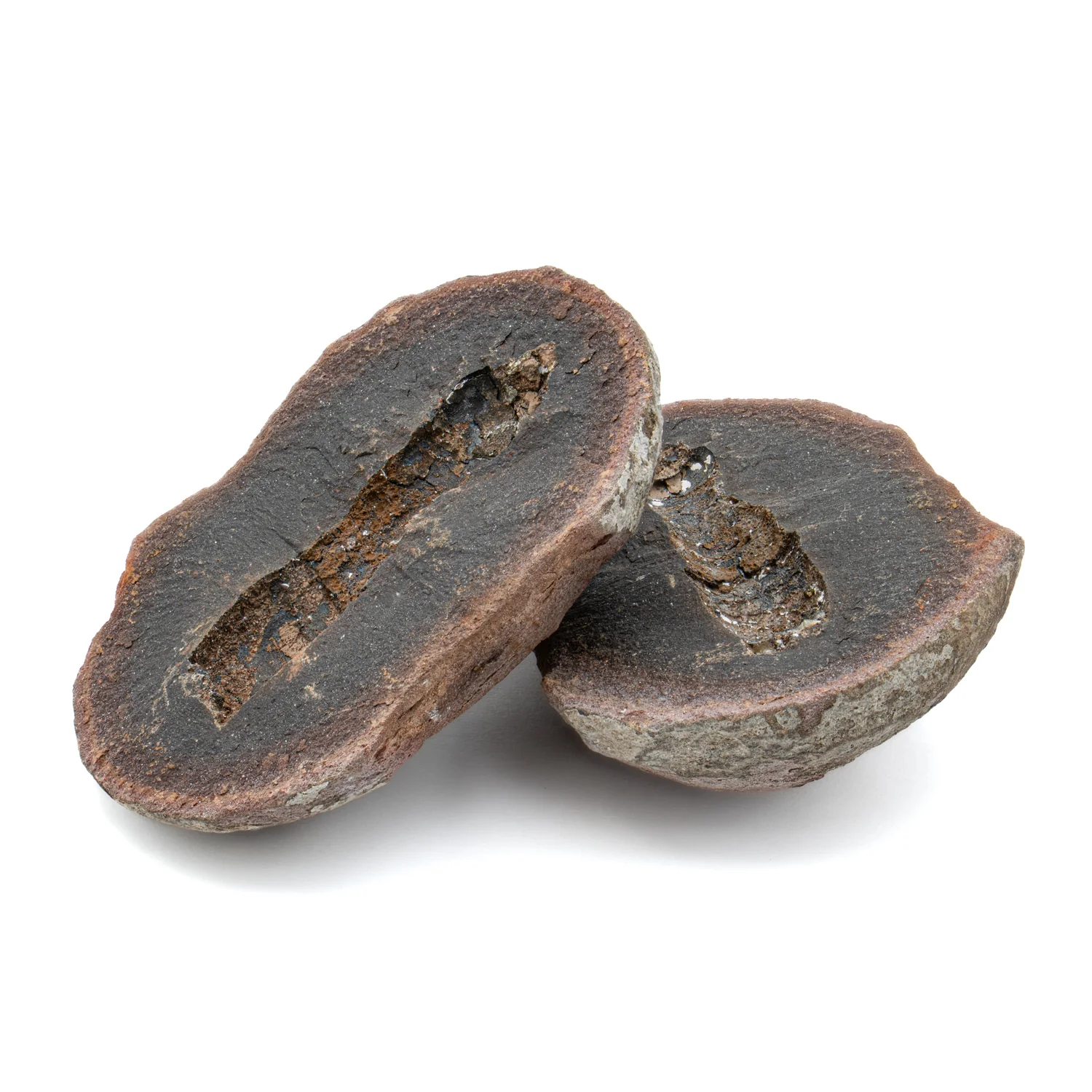 Mazon Creek Coprolite Fossil - 2.33" - Image 2