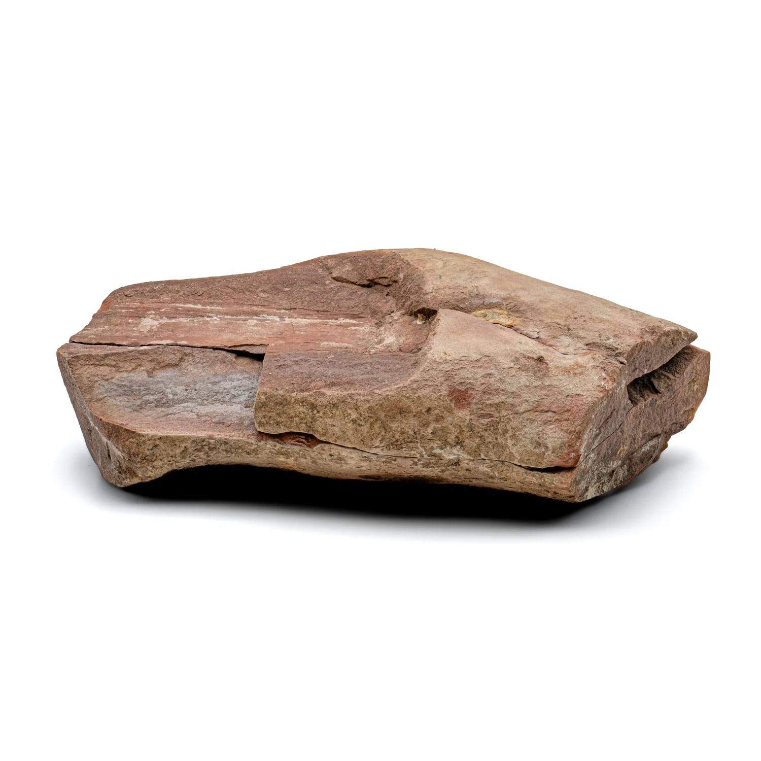 Mazon Creek Fossil Plant - SOLD 7.37" Pair - Image 3