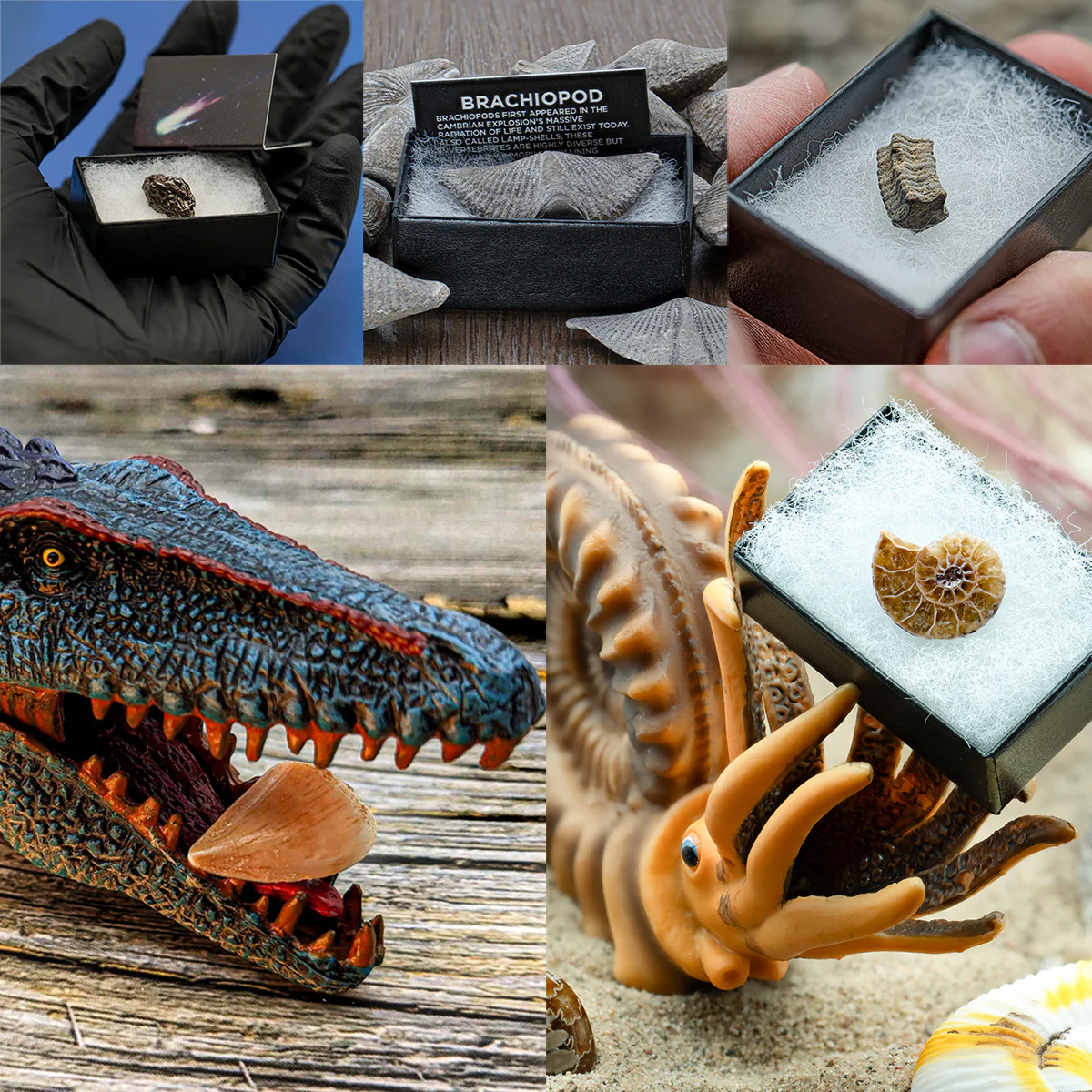 MEGABUNNY Mini Basket Bundle - Image 2