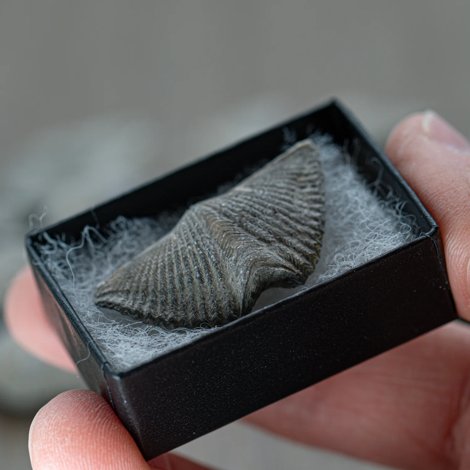 MEGABUNNY Mini Basket Bundle - Image 3