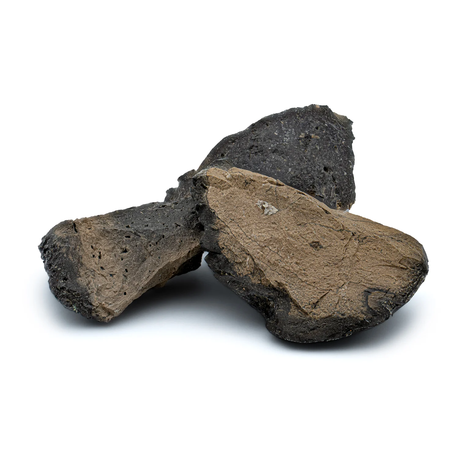 Megalodon Poop - Image 4