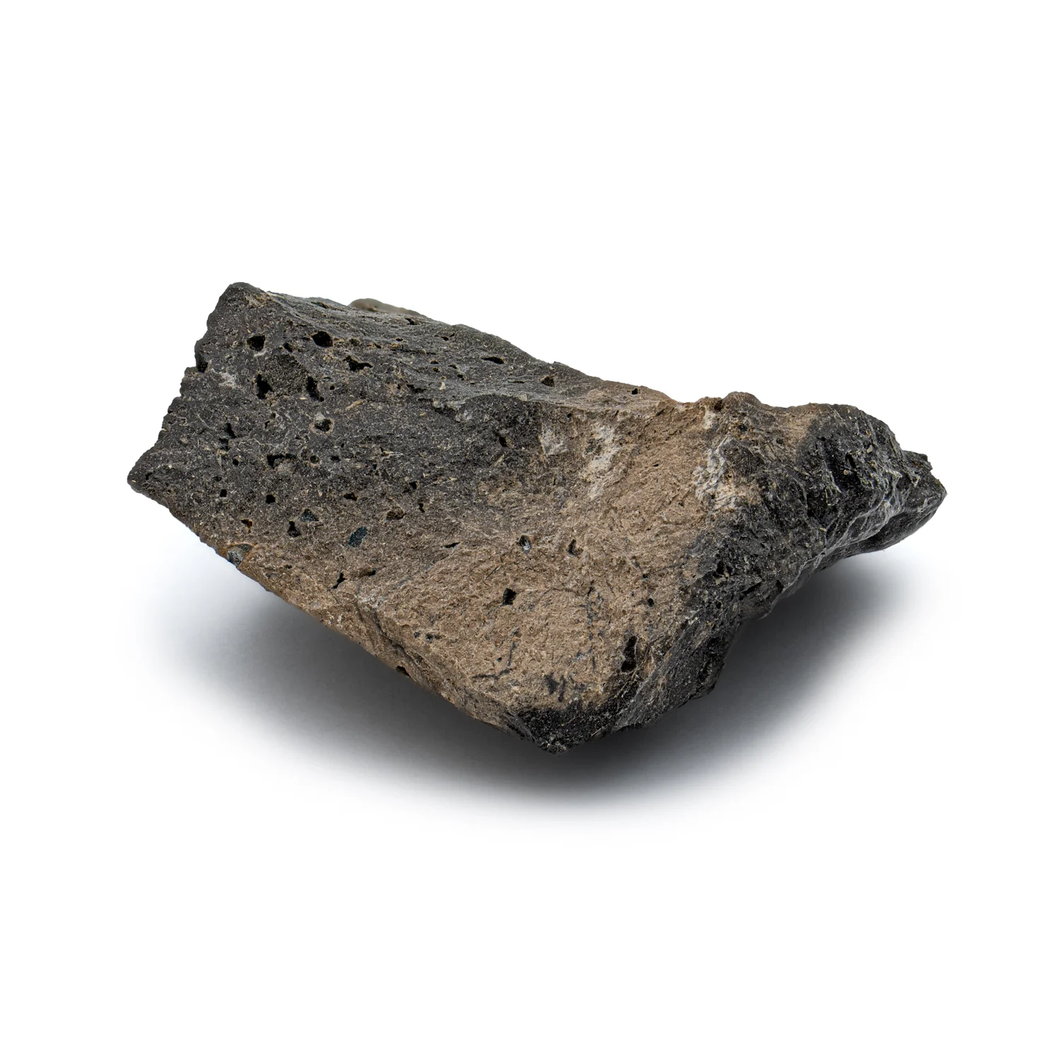 Megalodon Poop - Image 6