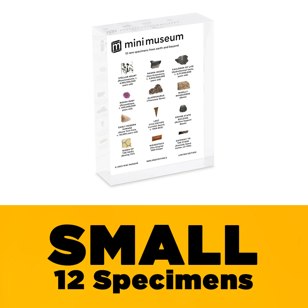 Mini Museum - Fifth Edition (SMALL - 12 Specimens) - Image 2