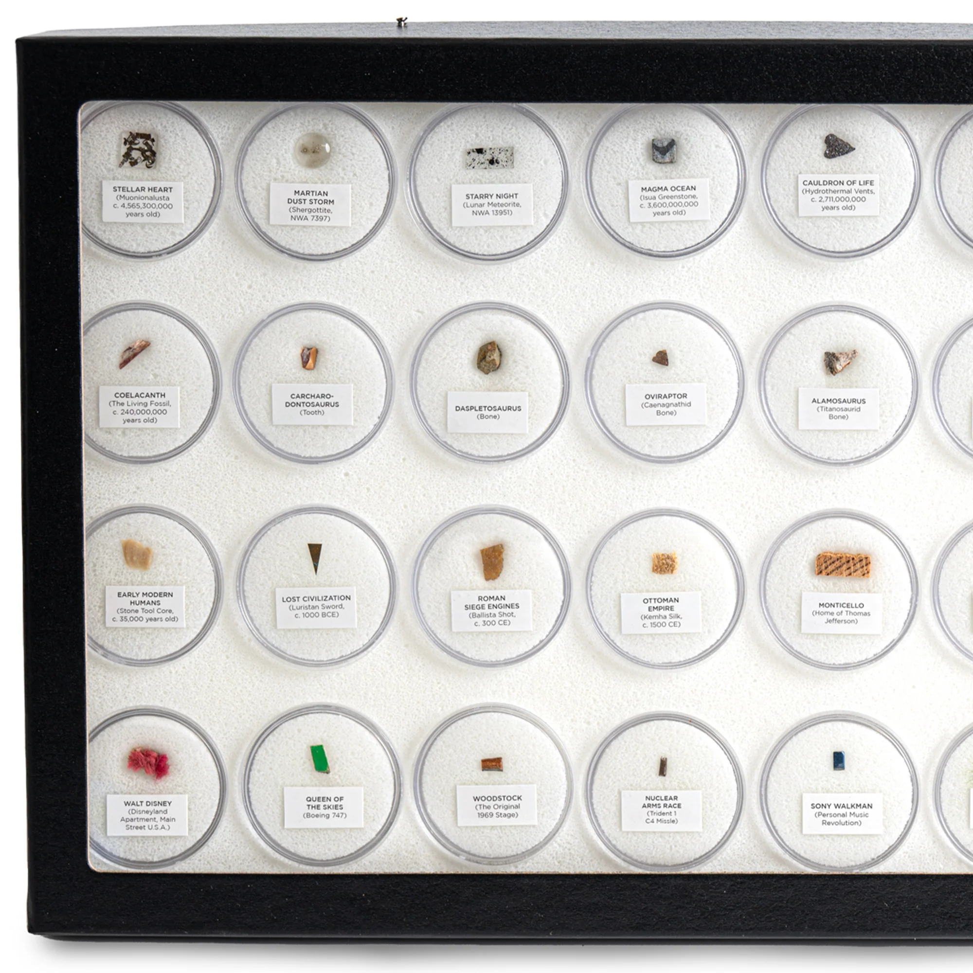Mini Museum - Fifth Edition (TOUCH - 34 Specimens) - Image 3