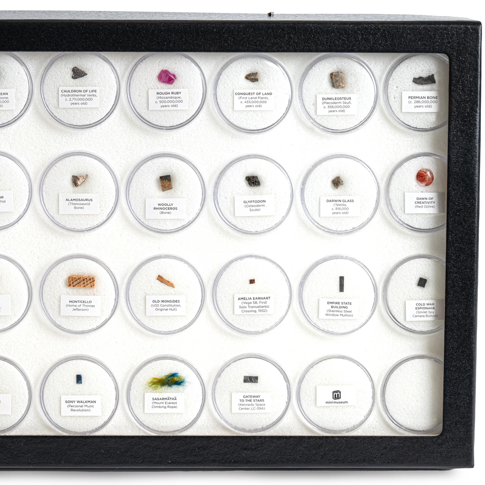 Mini Museum - Fifth Edition (TOUCH - 34 Specimens) - Image 4