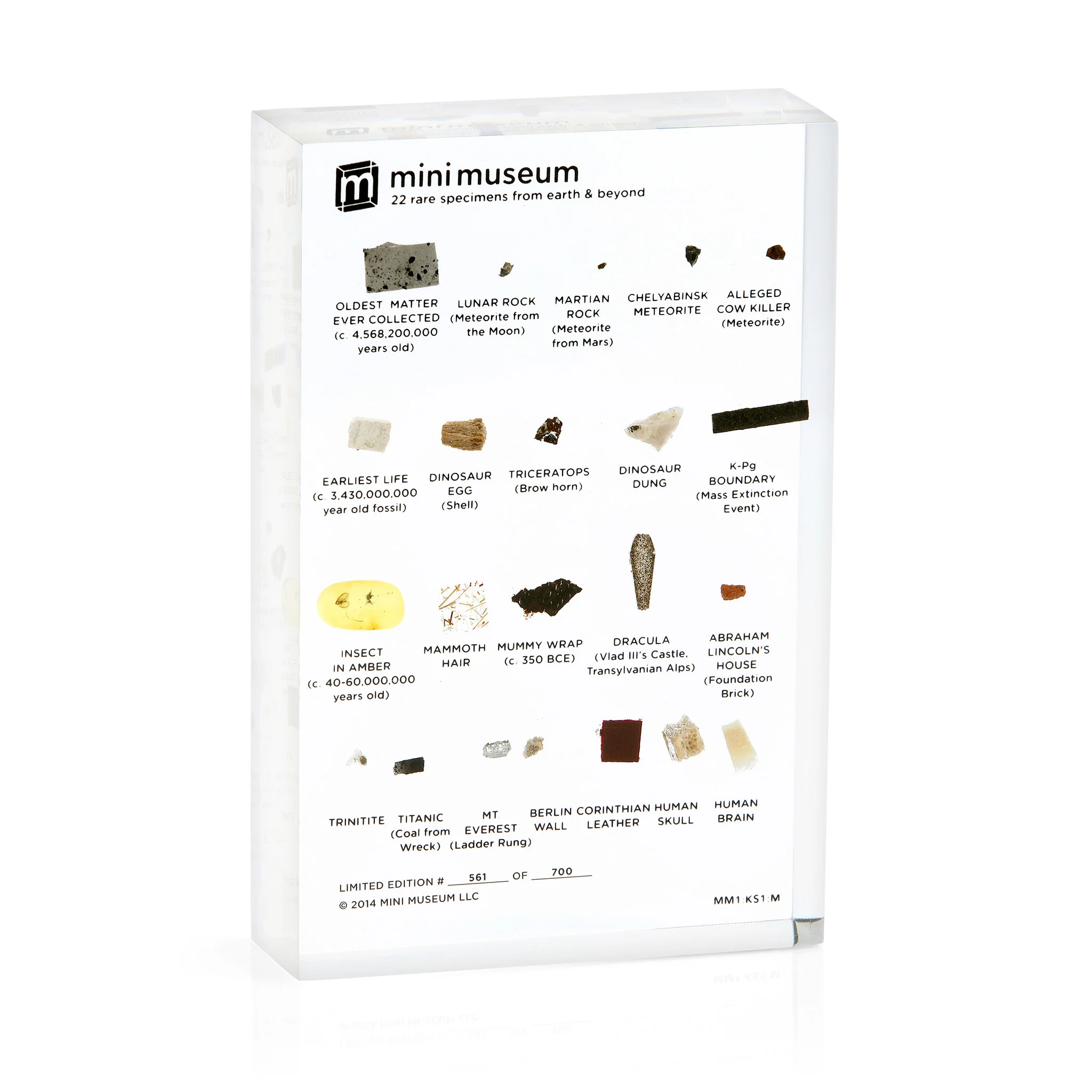 Mini Museum - First Edition (MEDIUM - 22 Specimens)