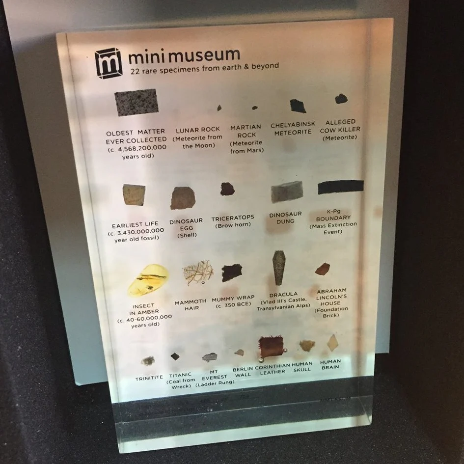 Mini Museum - First Edition (MEDIUM - 22 Specimens) - Image 3