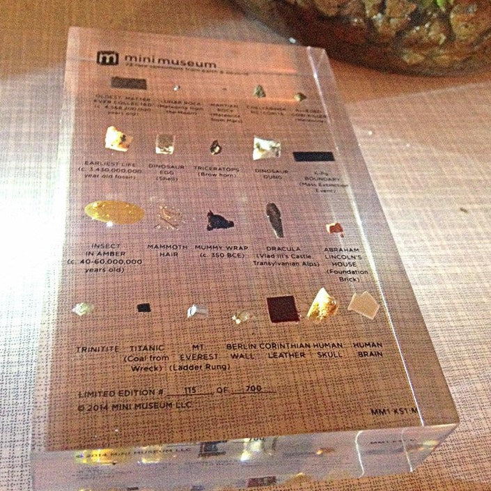 Mini Museum - First Edition (MEDIUM - 22 Specimens) - Image 4
