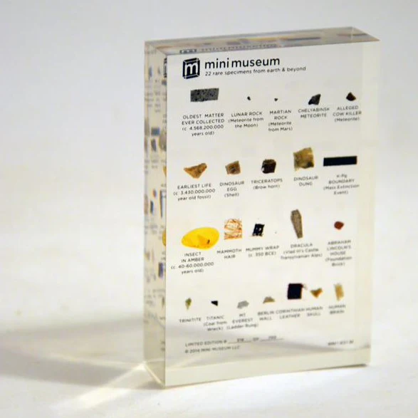 Mini Museum - First Edition (MEDIUM - 22 Specimens) - Image 5