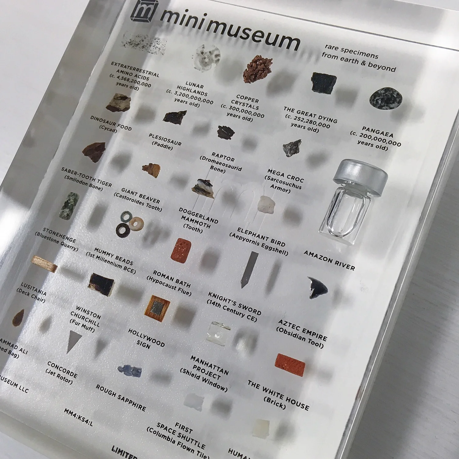 Mini Museum - Fourth Edition (LARGE - 29 Specimens) - Image 7