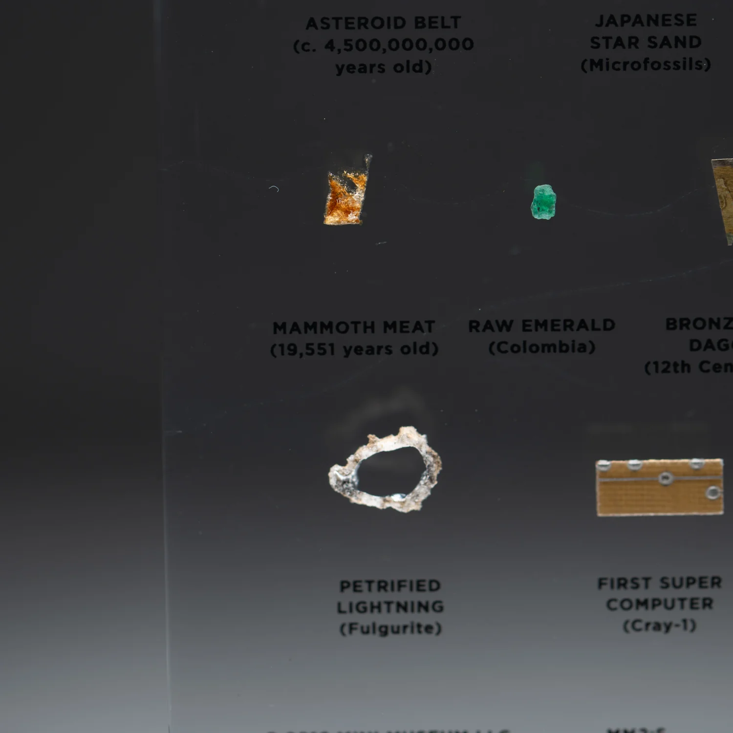 Mini Museum Out of the Vault - Second Edition EE (SMALL - 10 Specimens) - Image 11