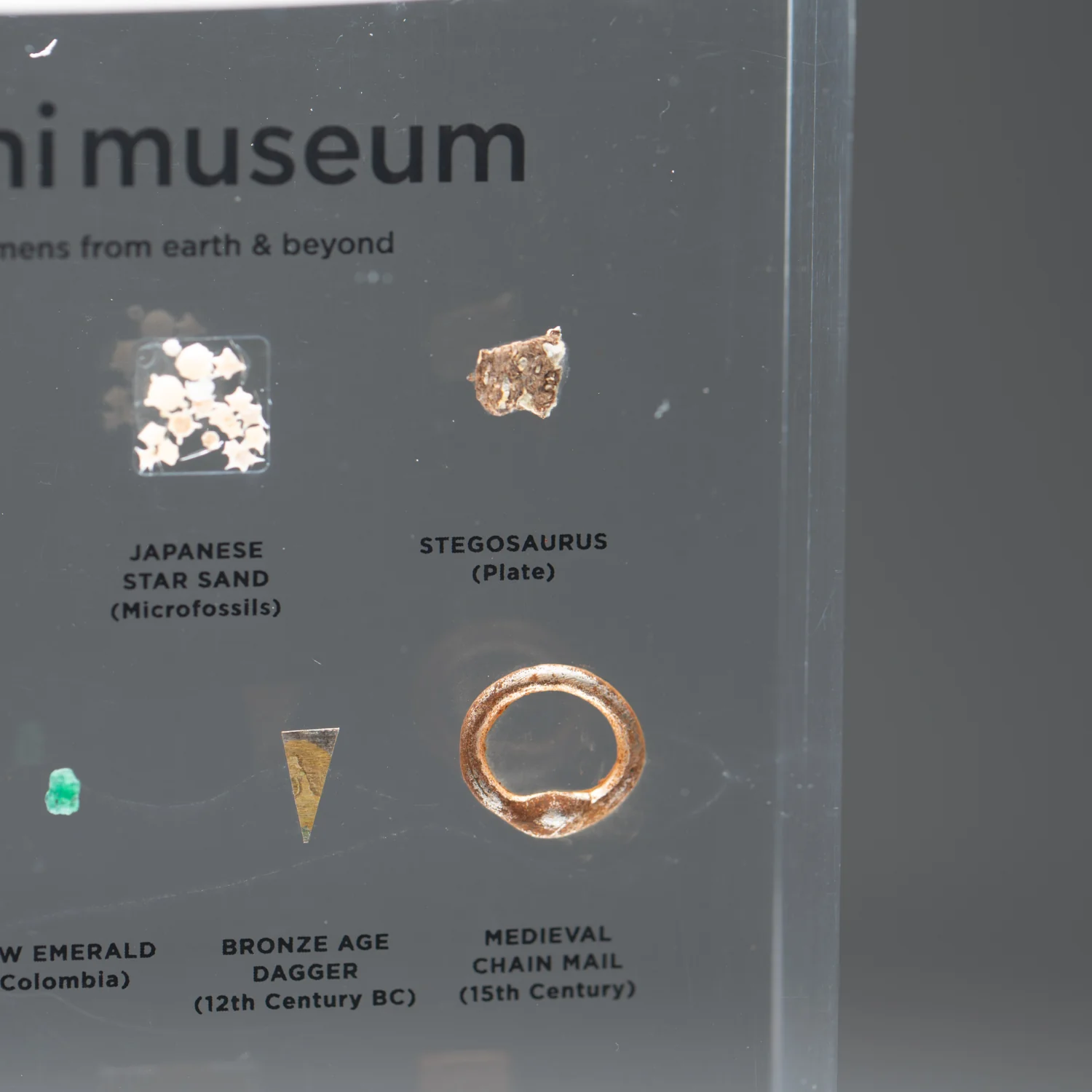 Mini Museum Out of the Vault - Second Edition EE (SMALL - 10 Specimens) - Image 13