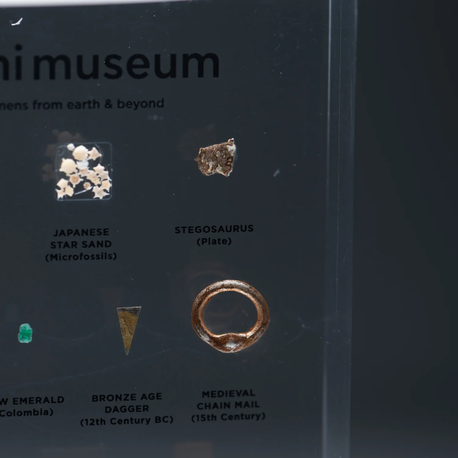 Mini Museum Out of the Vault - Second Edition EE (SMALL - 10 Specimens) - Image 14