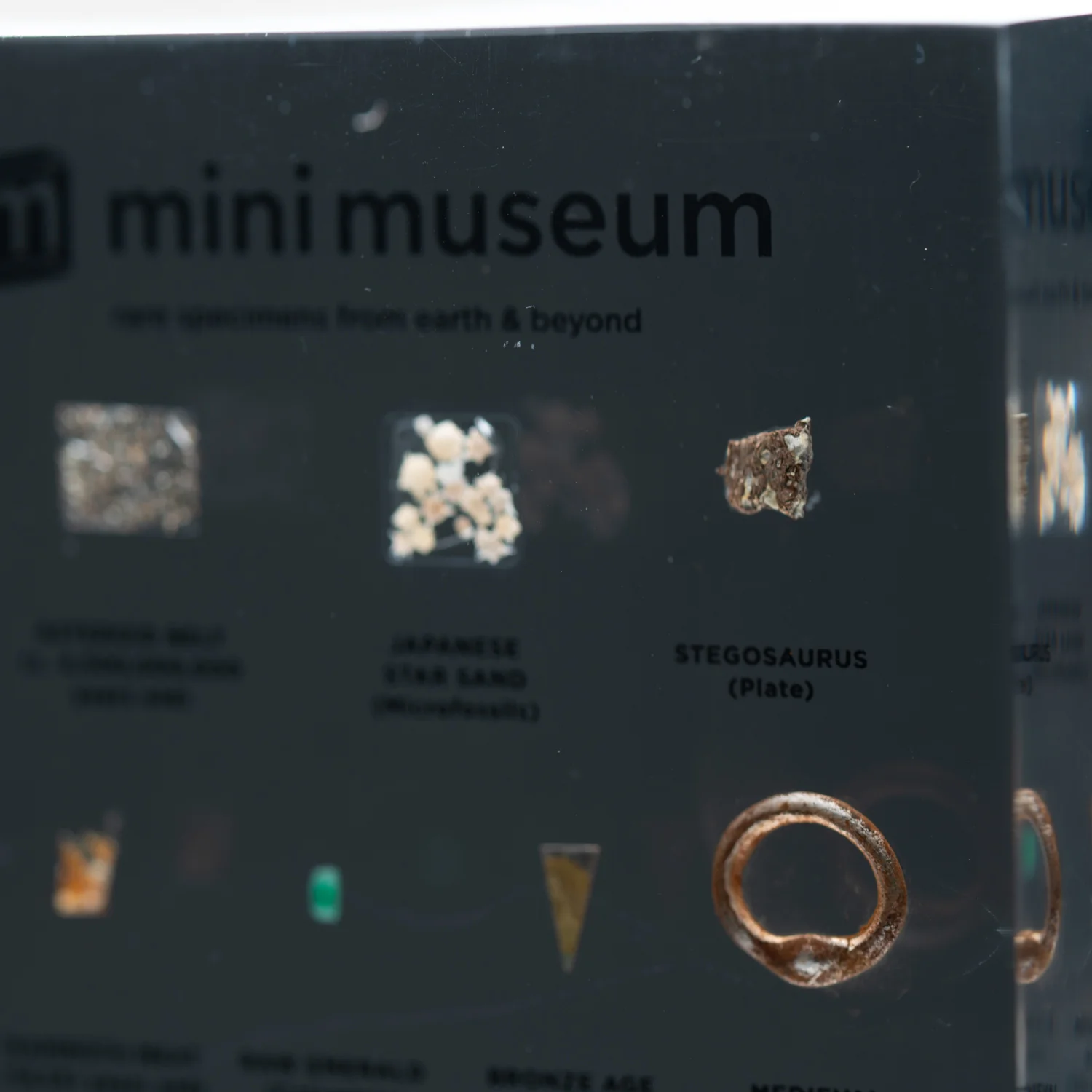 Mini Museum Out of the Vault - Second Edition EE (SMALL - 10 Specimens) - Image 15