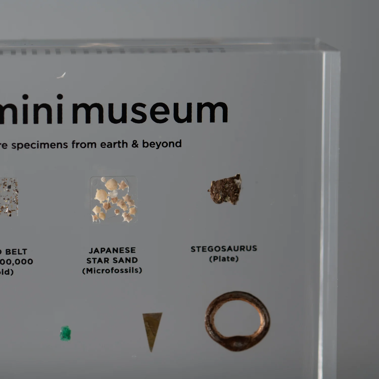 Mini Museum Out of the Vault - Second Edition EE (SMALL - 10 Specimens) - Image 16