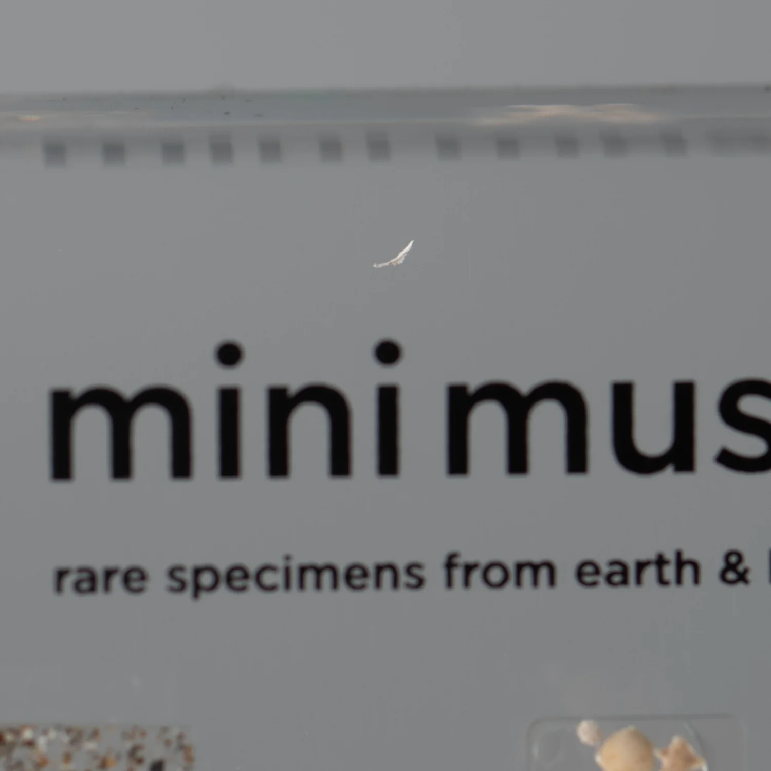 Mini Museum Out of the Vault - Second Edition EE (SMALL - 10 Specimens) - Image 3