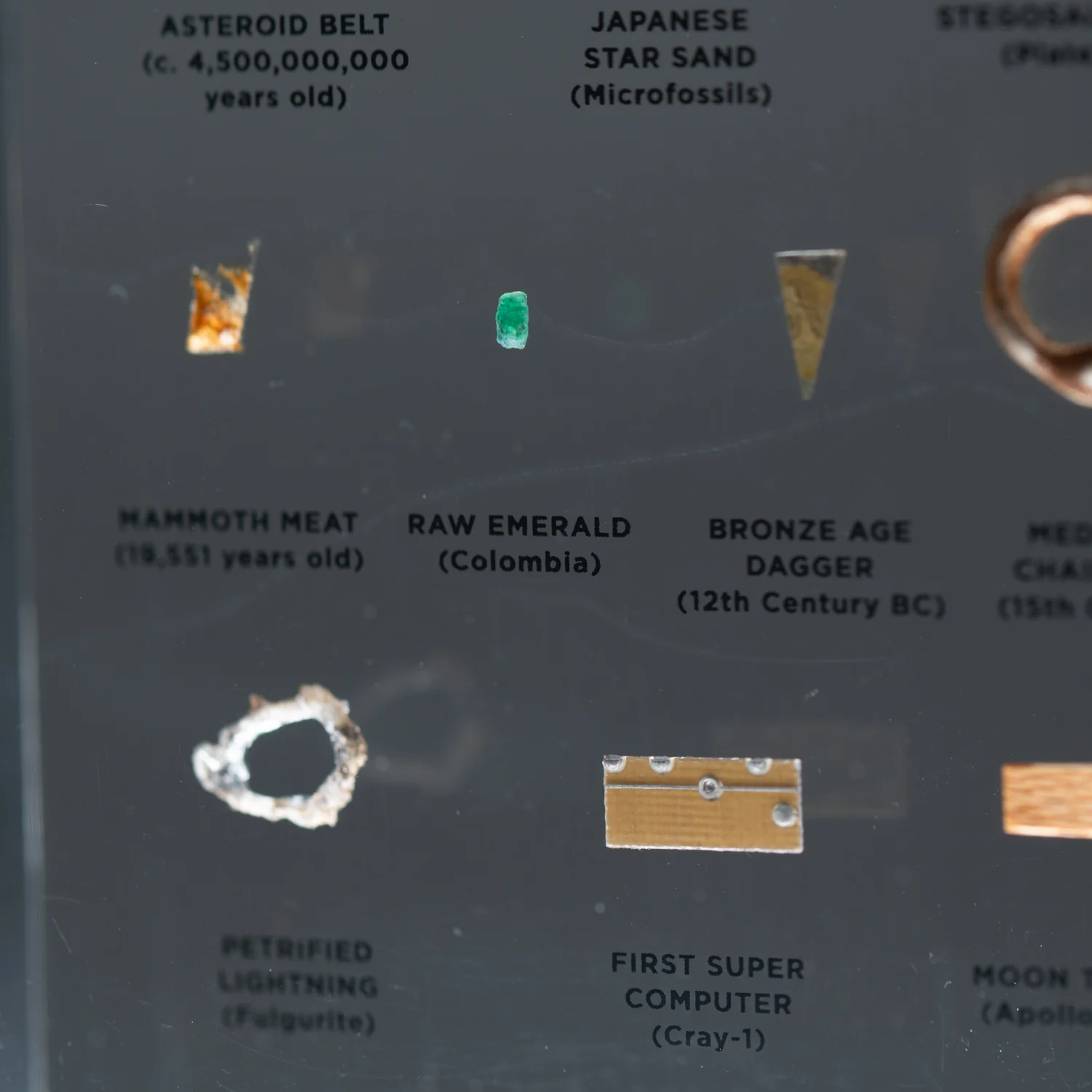 Mini Museum Out of the Vault - Second Edition EE (SMALL - 10 Specimens) - Image 6