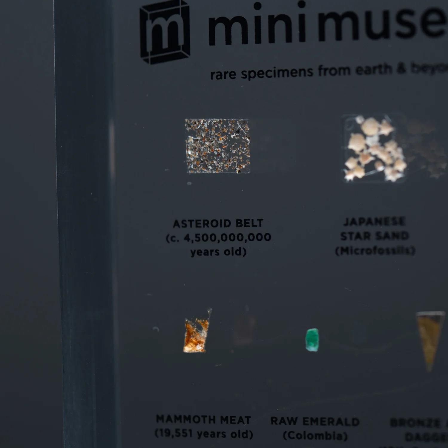 Mini Museum Out of the Vault - Second Edition EE (SMALL - 10 Specimens) - Image 7