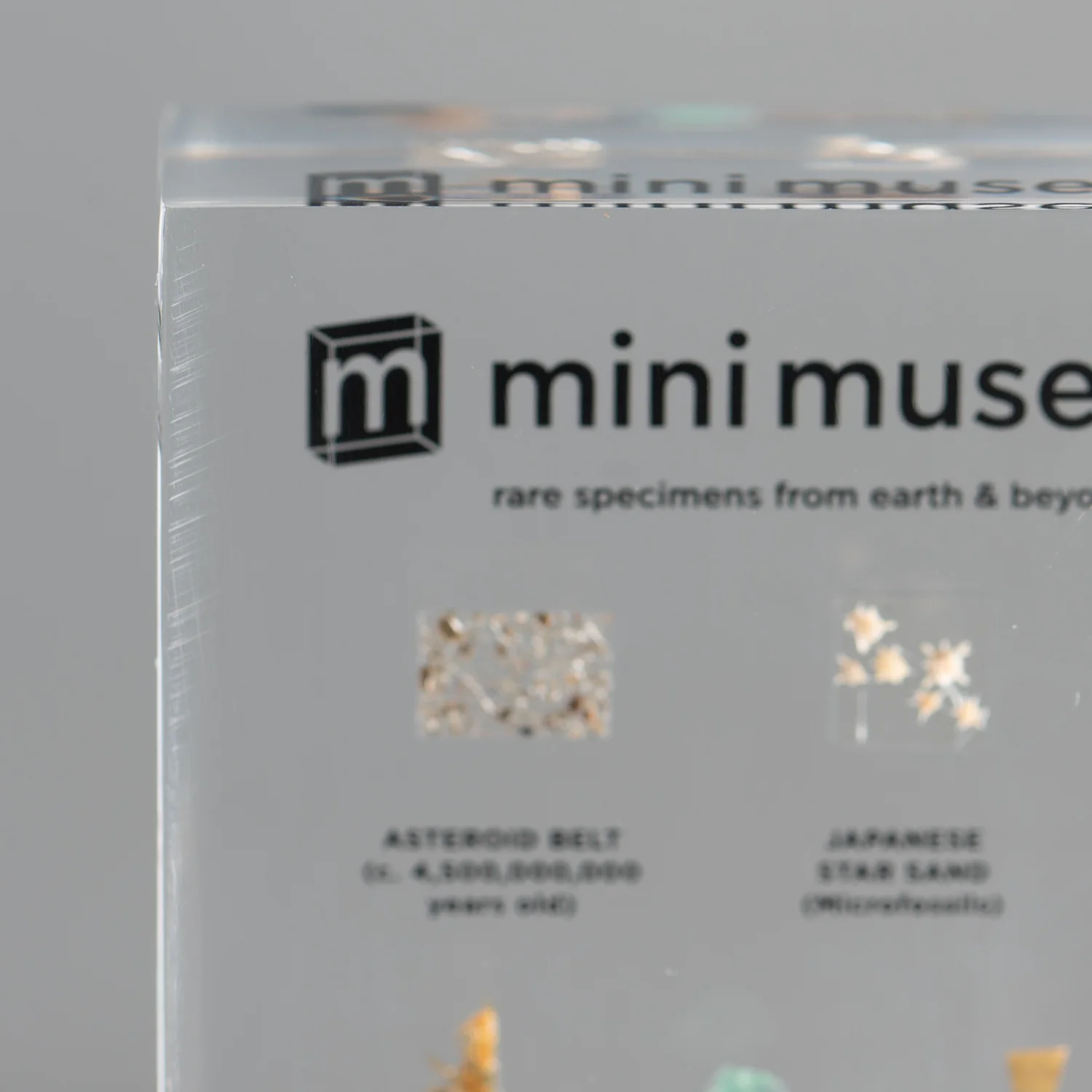 SOLD Mini Museum Out of the Vault - Second Edition G (SMALL - 10 Specimens) - Image 12