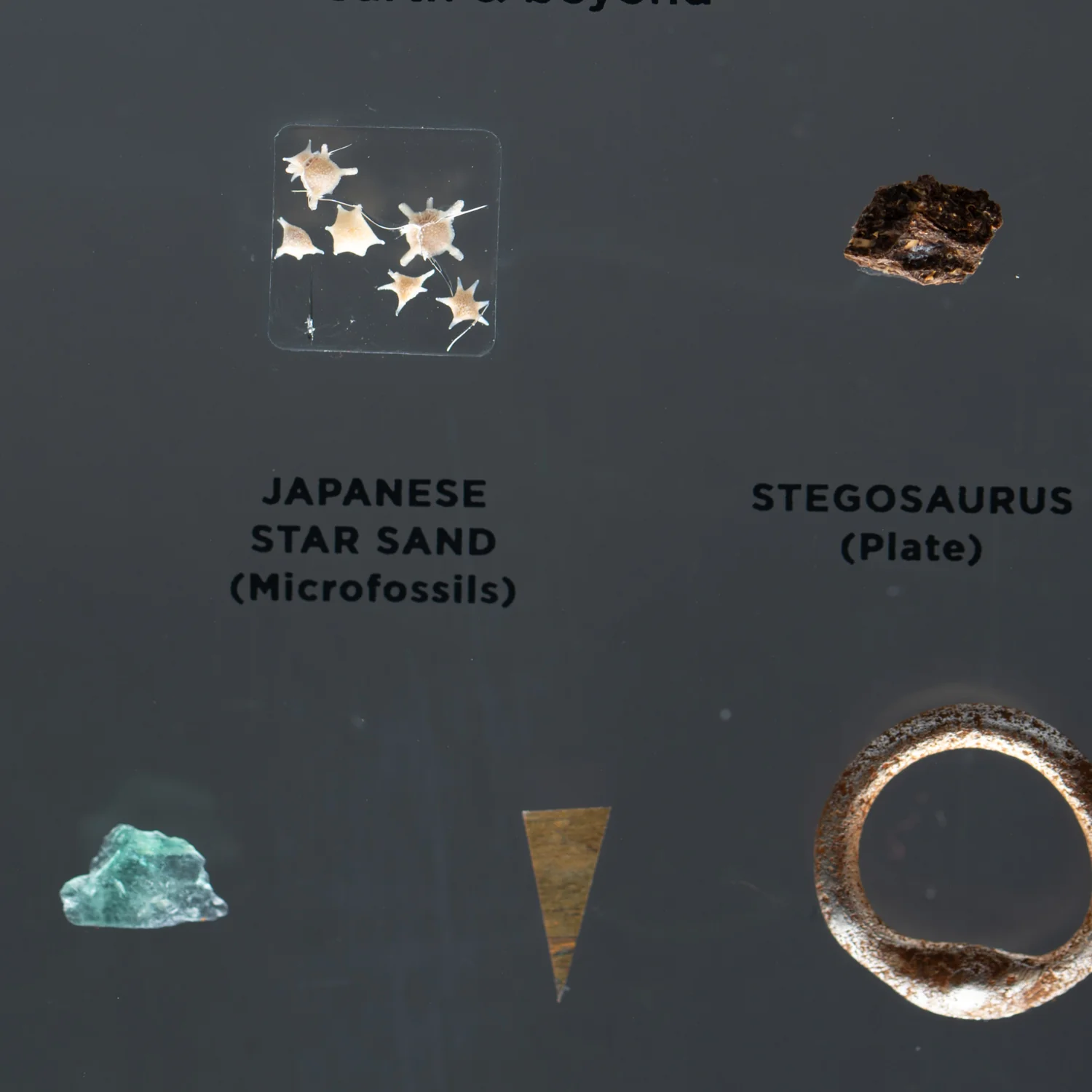 SOLD Mini Museum Out of the Vault - Second Edition G (SMALL - 10 Specimens) - Image 3