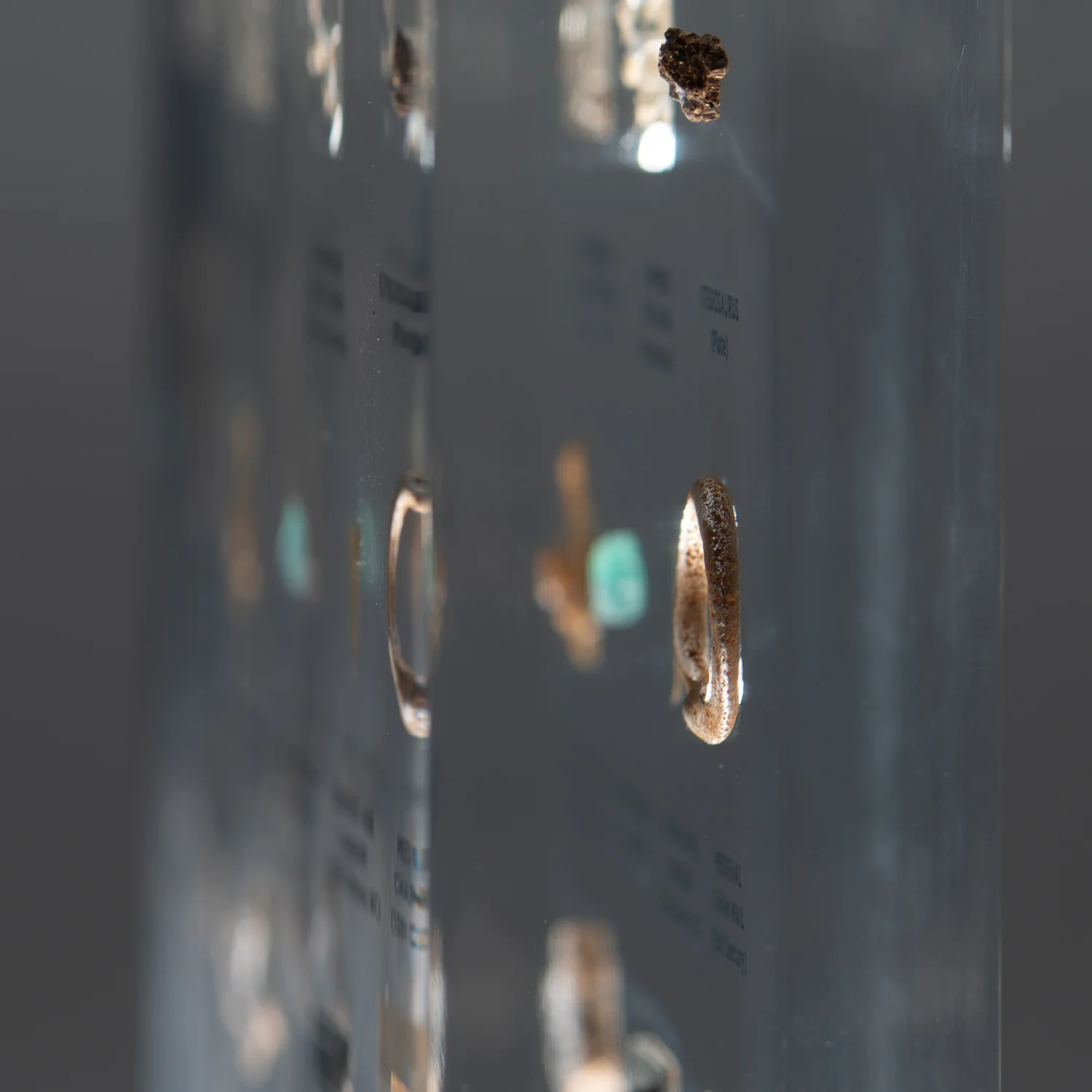 SOLD Mini Museum Out of the Vault - Second Edition G (SMALL - 10 Specimens) - Image 5