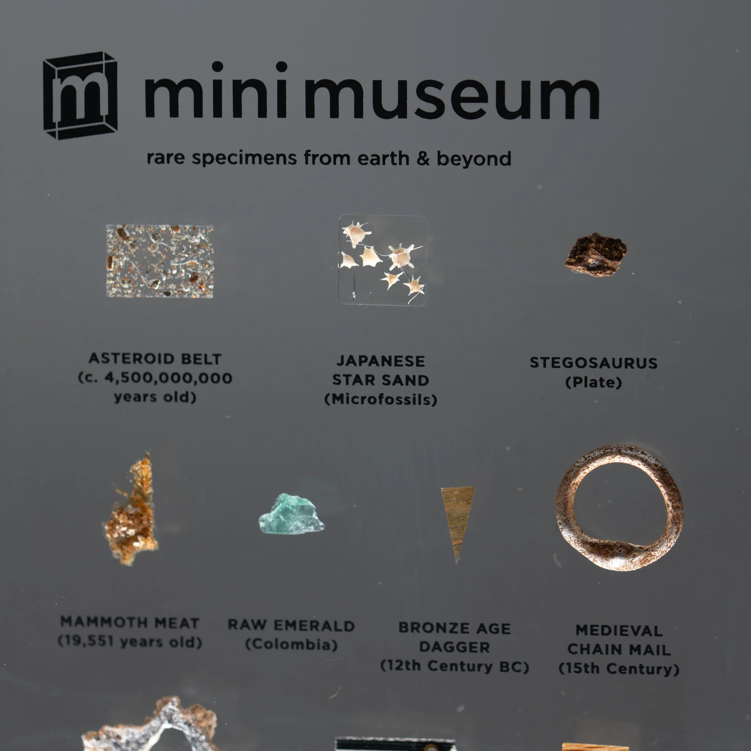 SOLD Mini Museum Out of the Vault - Second Edition G (SMALL - 10 Specimens) - Image 8