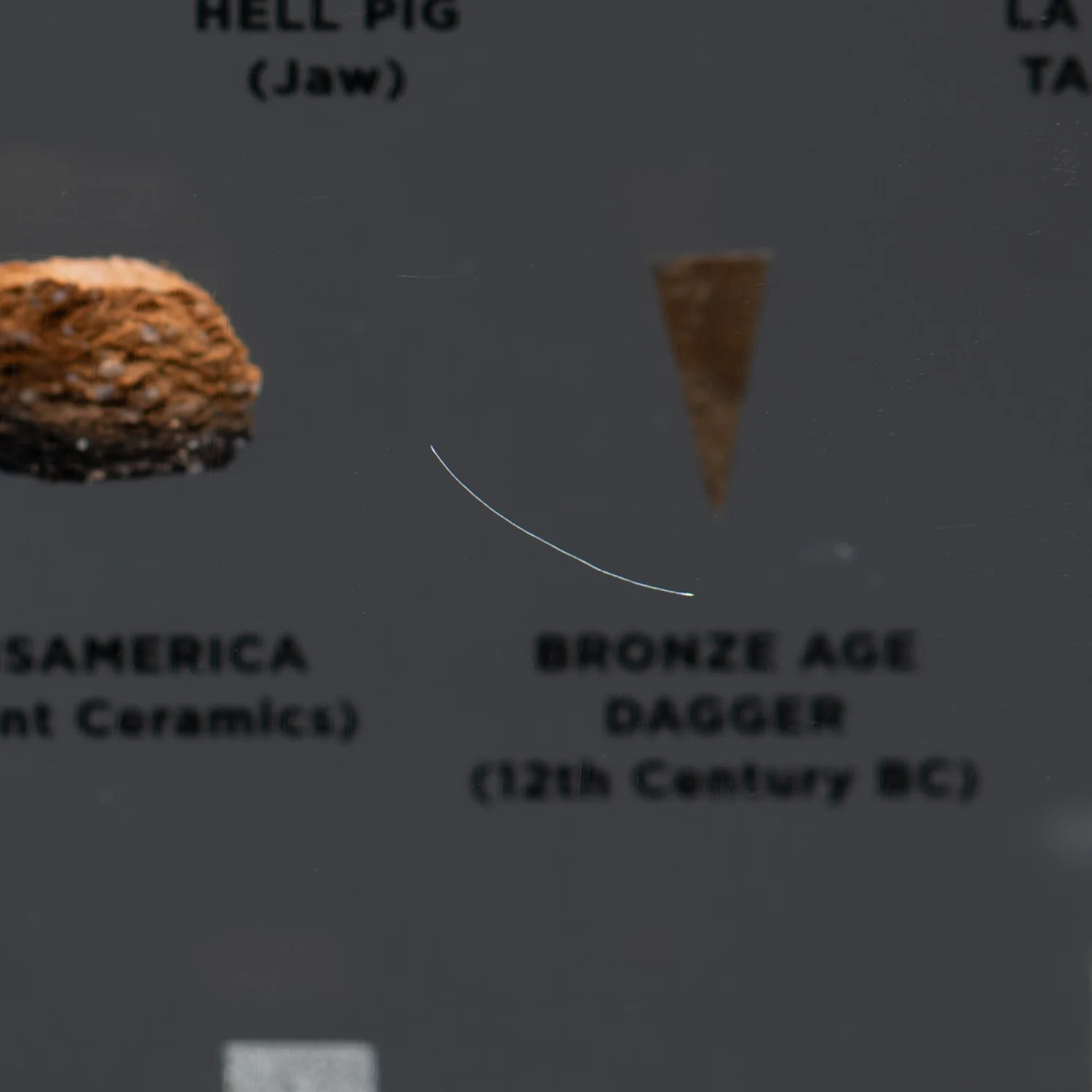 Mini Museum Out of the Vault - Second Edition ID #1422 (LARGE - 26 Specimens) - Image 13