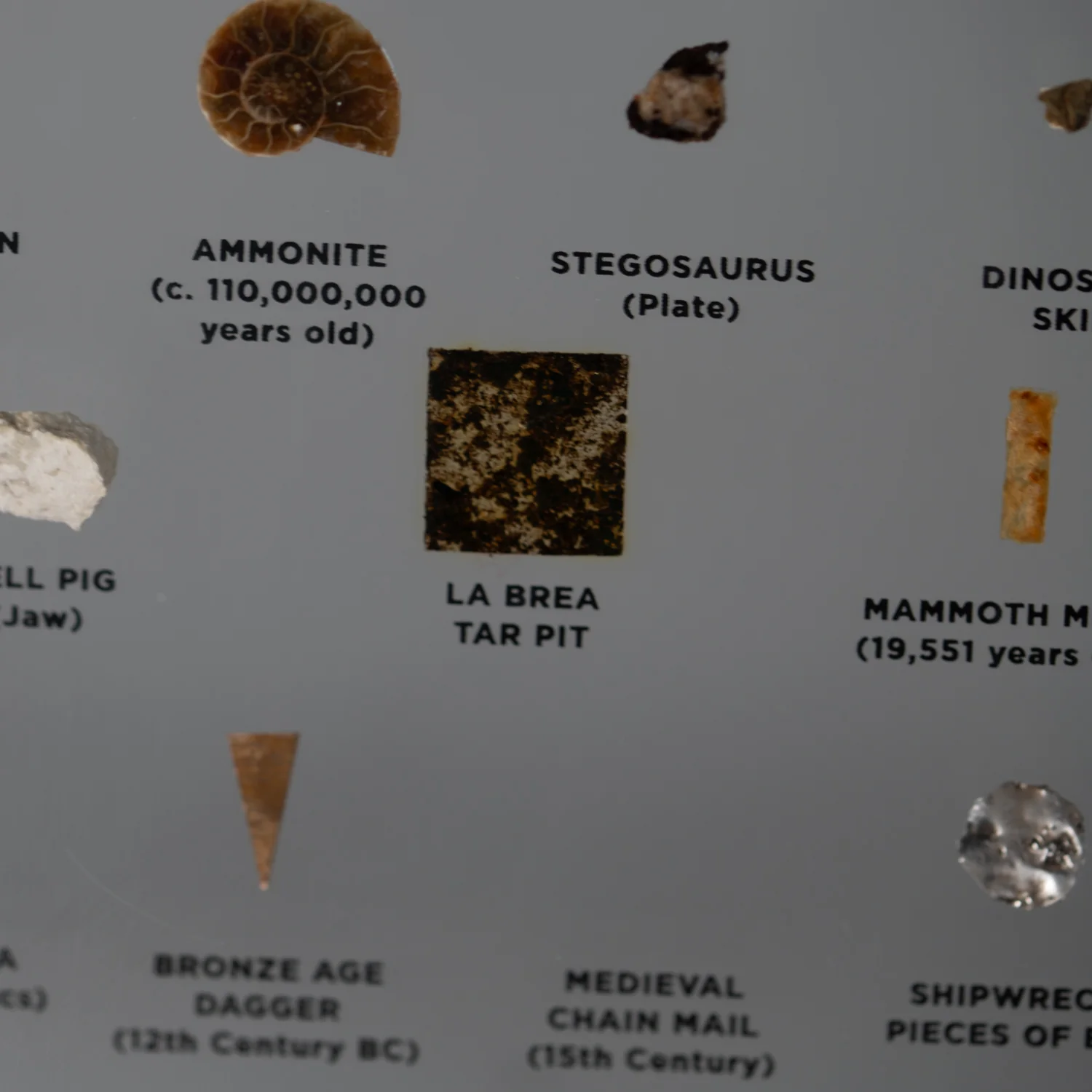Mini Museum Out of the Vault - Second Edition ID #1422 (LARGE - 26 Specimens) - Image 5