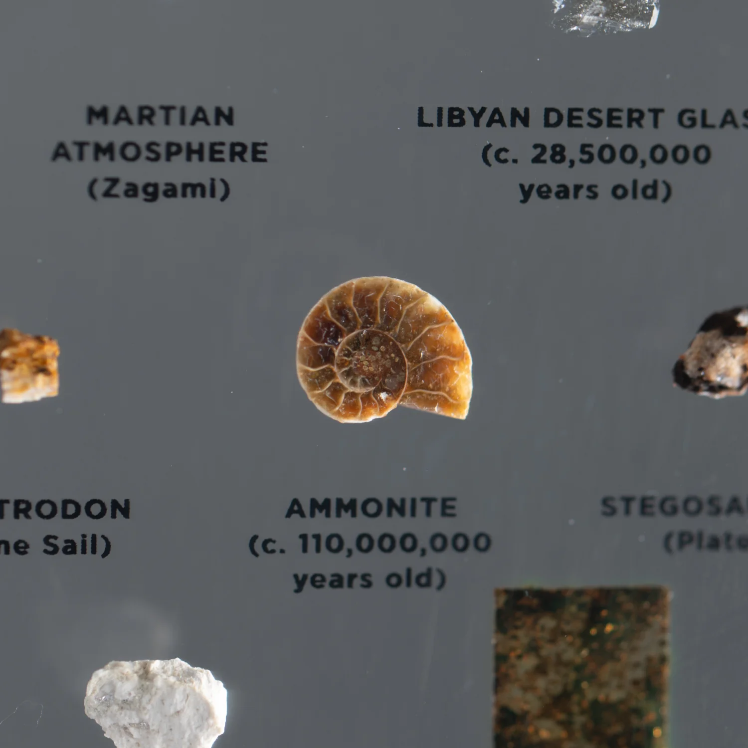 Mini Museum Out of the Vault - Second Edition ID #1422 (LARGE - 26 Specimens) - Image 6