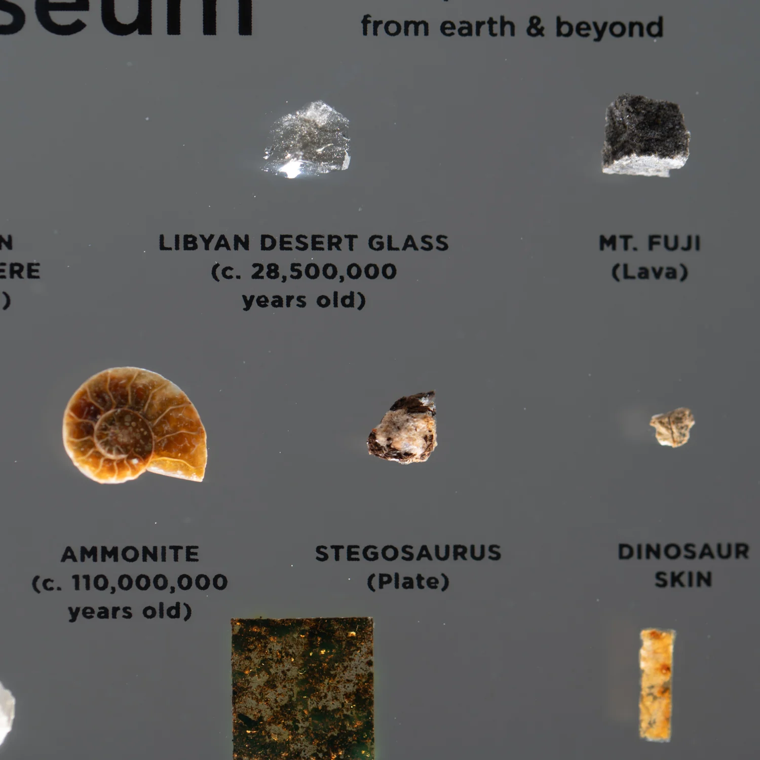 Mini Museum Out of the Vault - Second Edition ID #1422 (LARGE - 26 Specimens) - Image 7