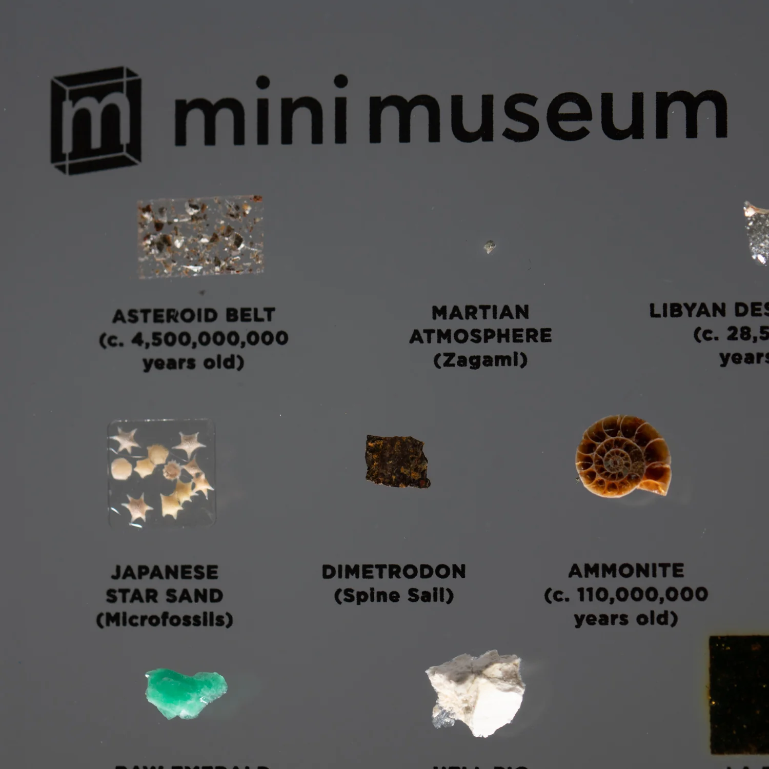 Mini Museum Out of the Vault - Second Edition ID #24 (LARGE - 26 Specimens) - Image 12