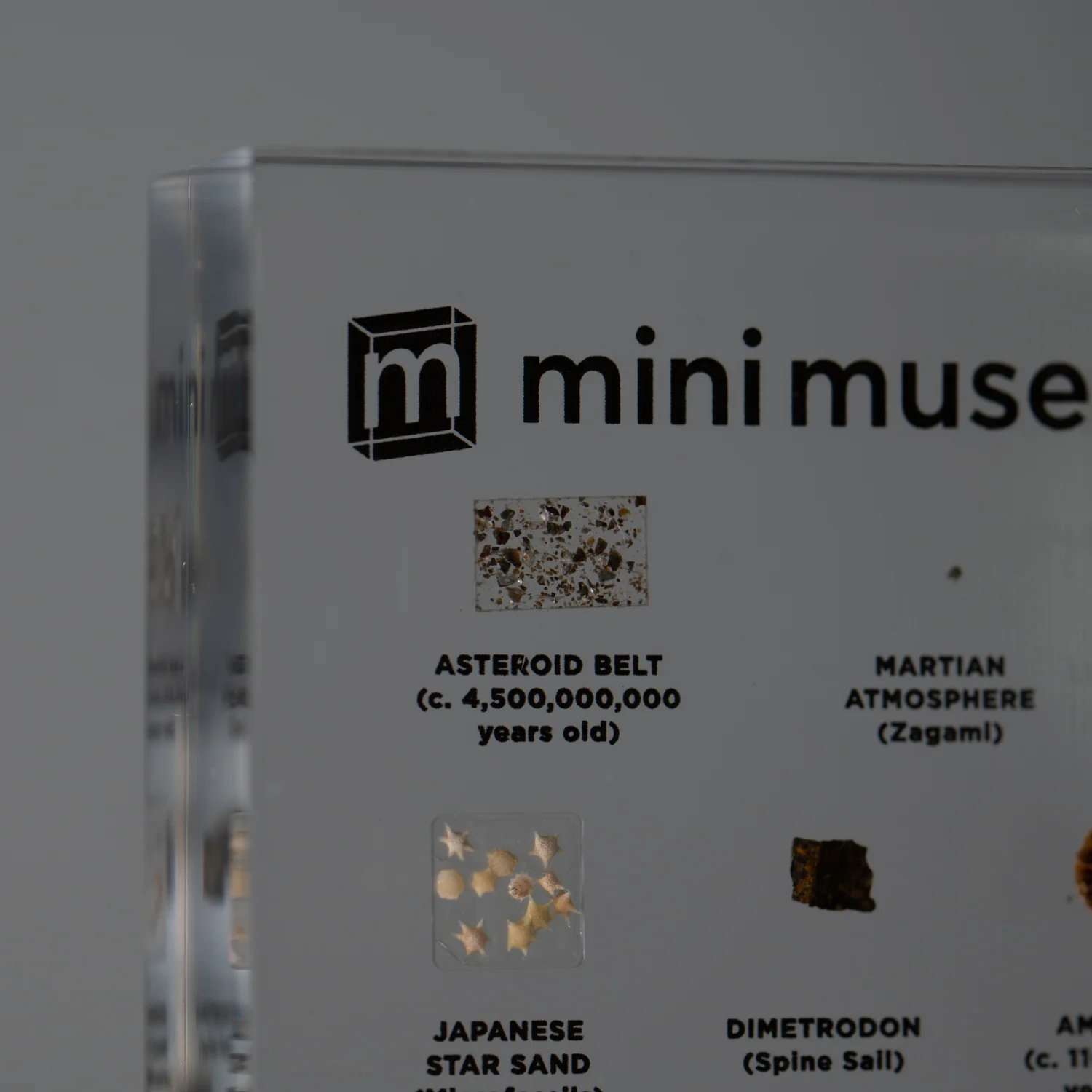 Mini Museum Out of the Vault - Second Edition ID #24 (LARGE - 26 Specimens) - Image 13