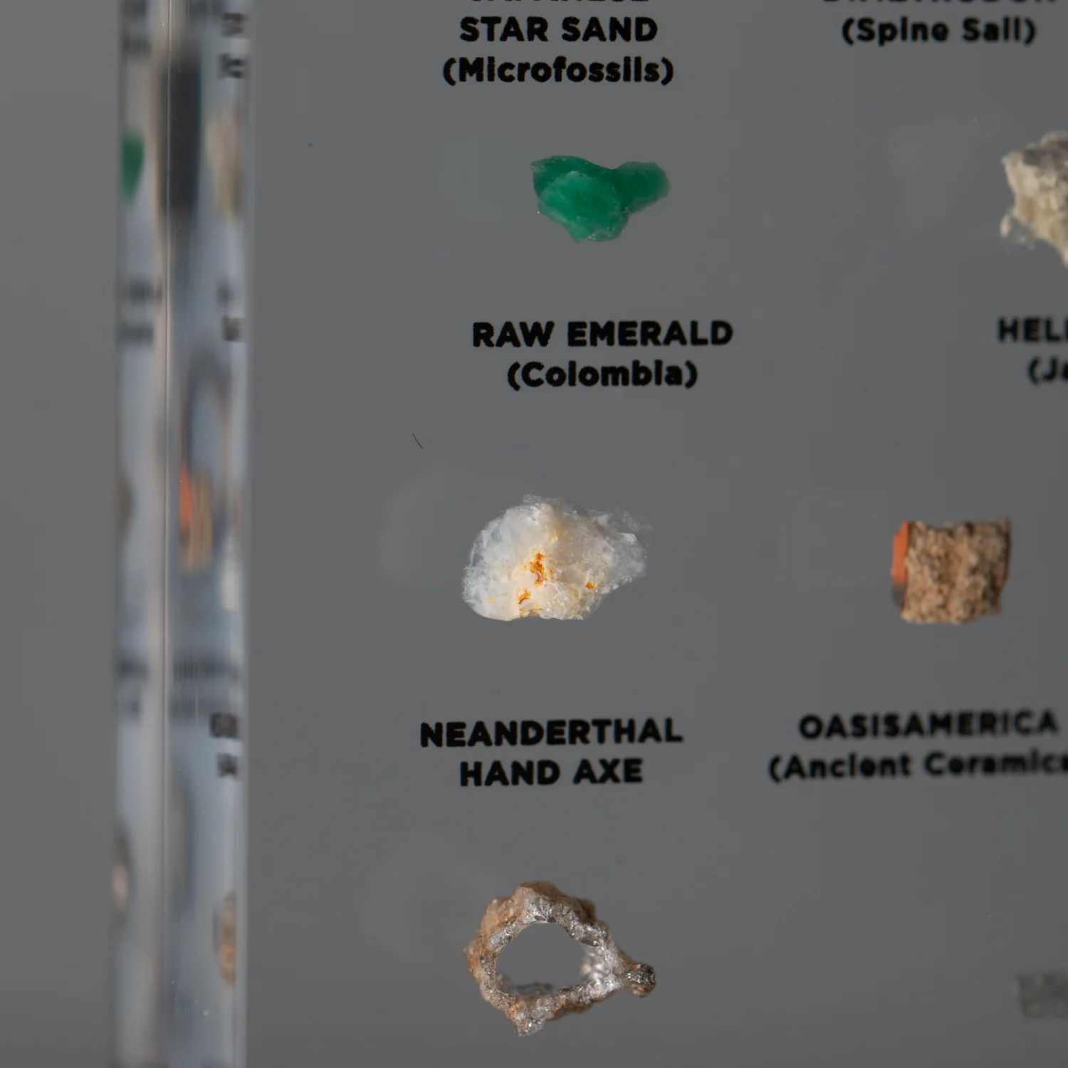 Mini Museum Out of the Vault - Second Edition ID #24 (LARGE - 26 Specimens) - Image 14