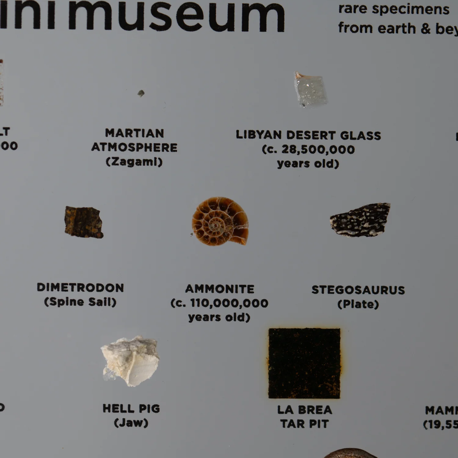 Mini Museum Out of the Vault - Second Edition ID #24 (LARGE - 26 Specimens) - Image 15