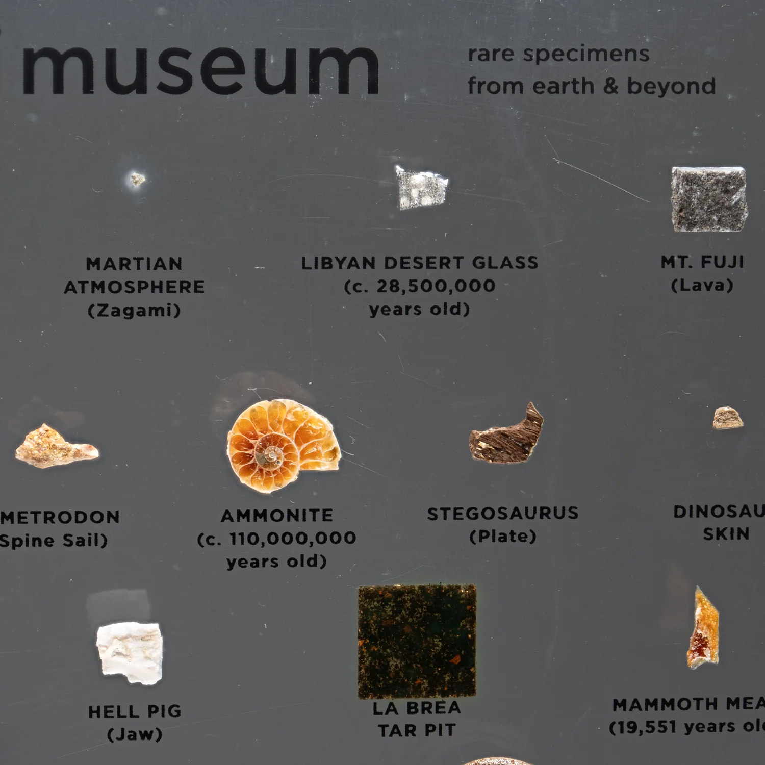 Mini Museum Out of the Vault - Second Edition ID #291 (LARGE - 26 Specimens) - Image 5