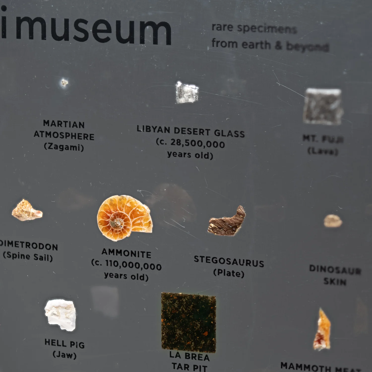 Mini Museum Out of the Vault - Second Edition ID #291 (LARGE - 26 Specimens) - Image 6