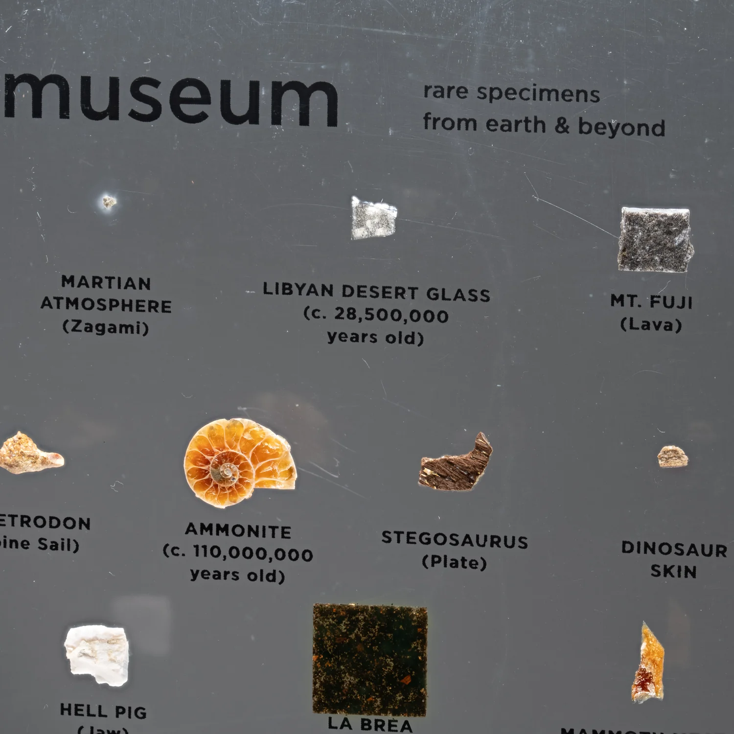 Mini Museum Out of the Vault - Second Edition ID #291 (LARGE - 26 Specimens) - Image 9
