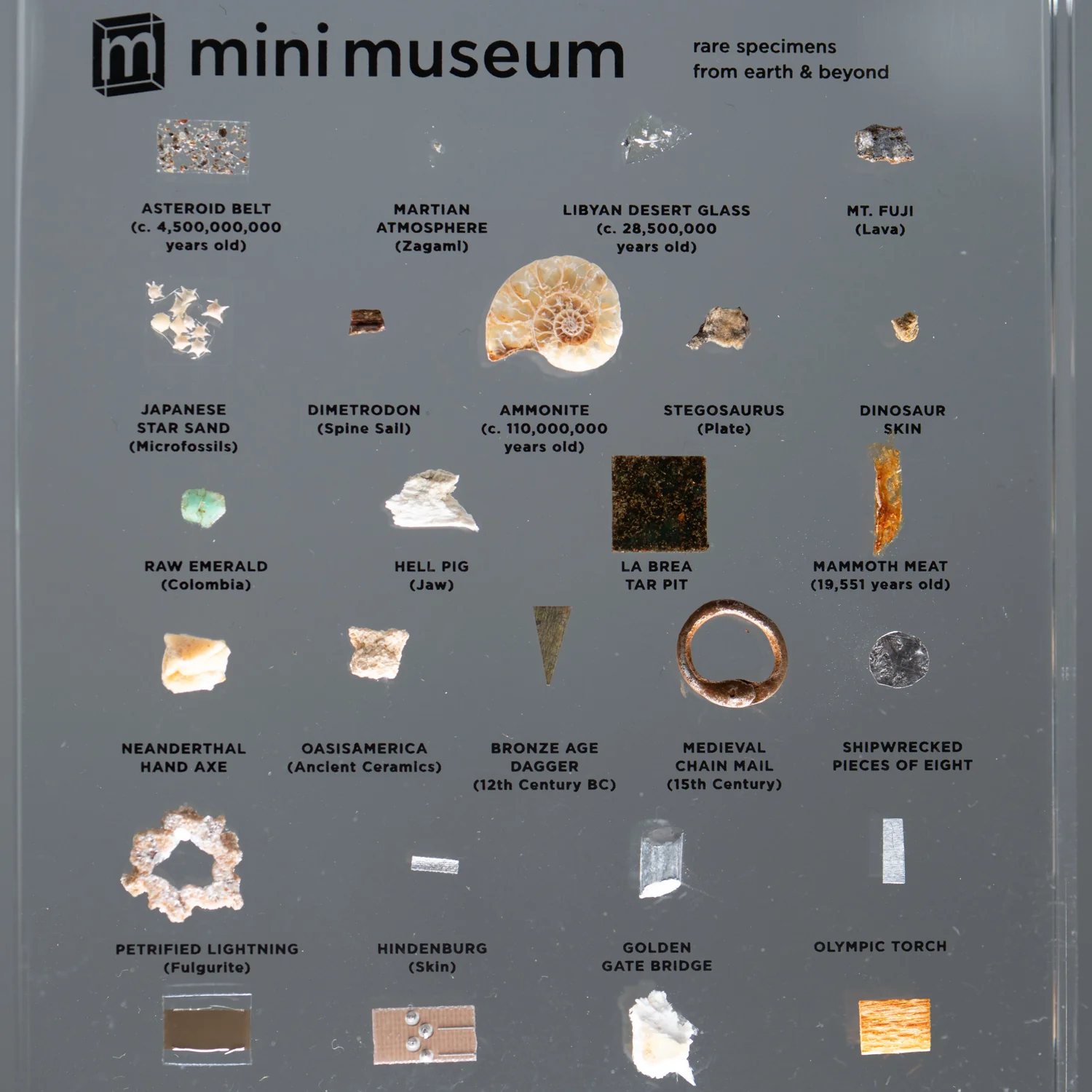 Mini Museum Out of the Vault - Second Edition ID #3361 (LARGE - 26 Specimens) - Image 11