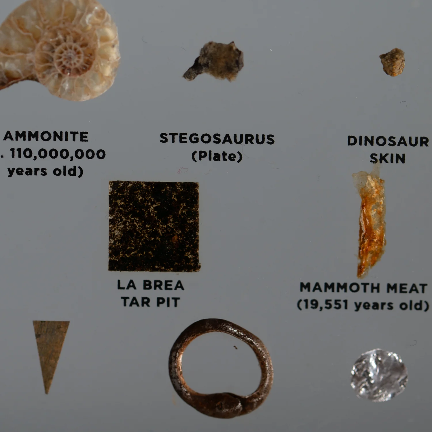 Mini Museum Out of the Vault - Second Edition ID #3361 (LARGE - 26 Specimens) - Image 7