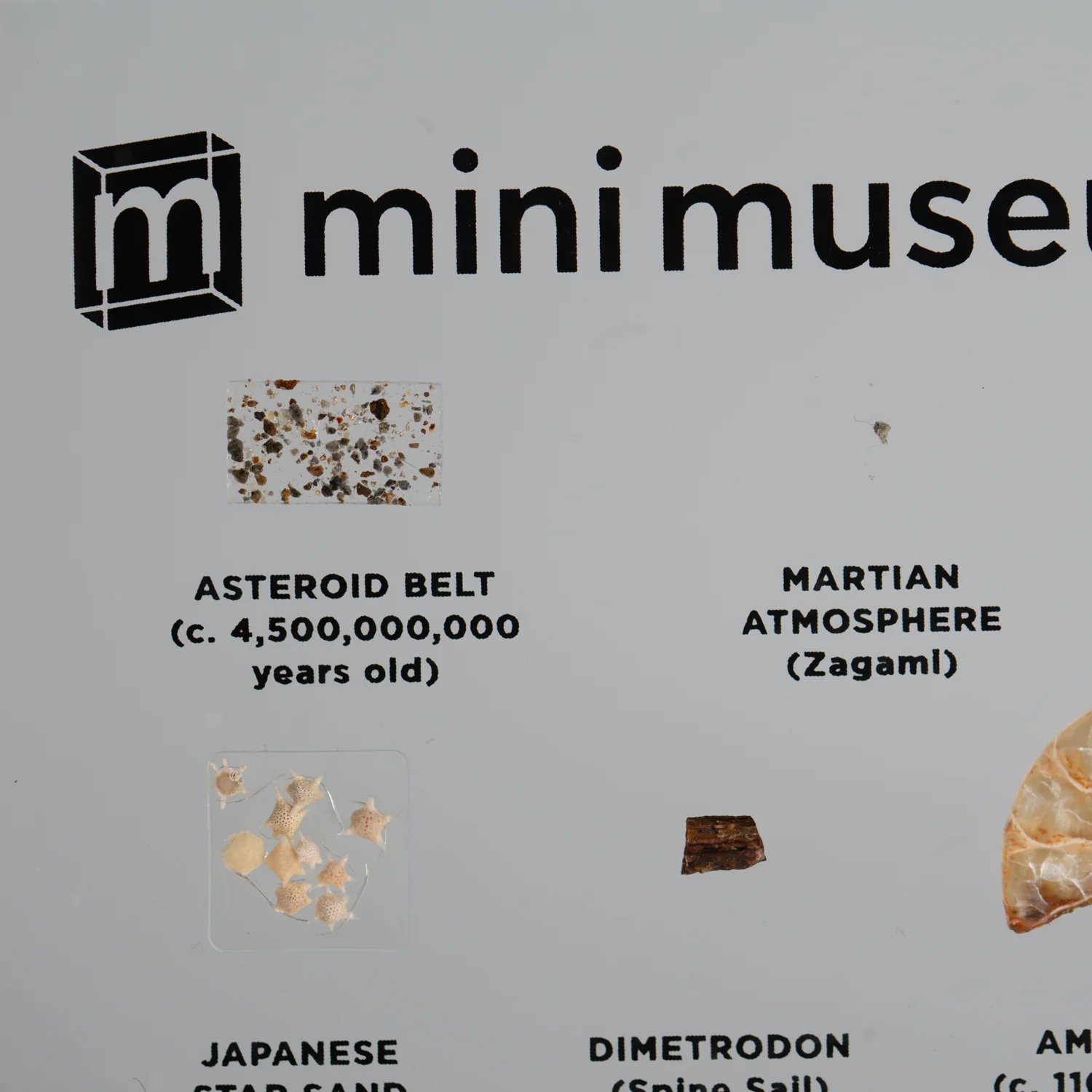 Mini Museum Out of the Vault - Second Edition ID #3361 (LARGE - 26 Specimens) - Image 9