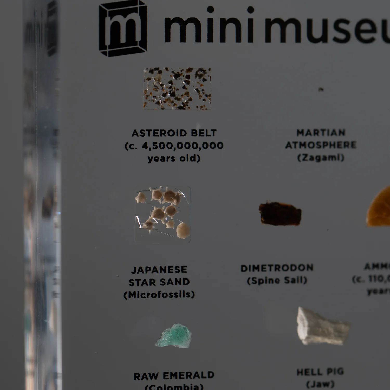 Mini Museum Out of the Vault - Second Edition ID #3686 (LARGE - 26 Specimens) - Image 16