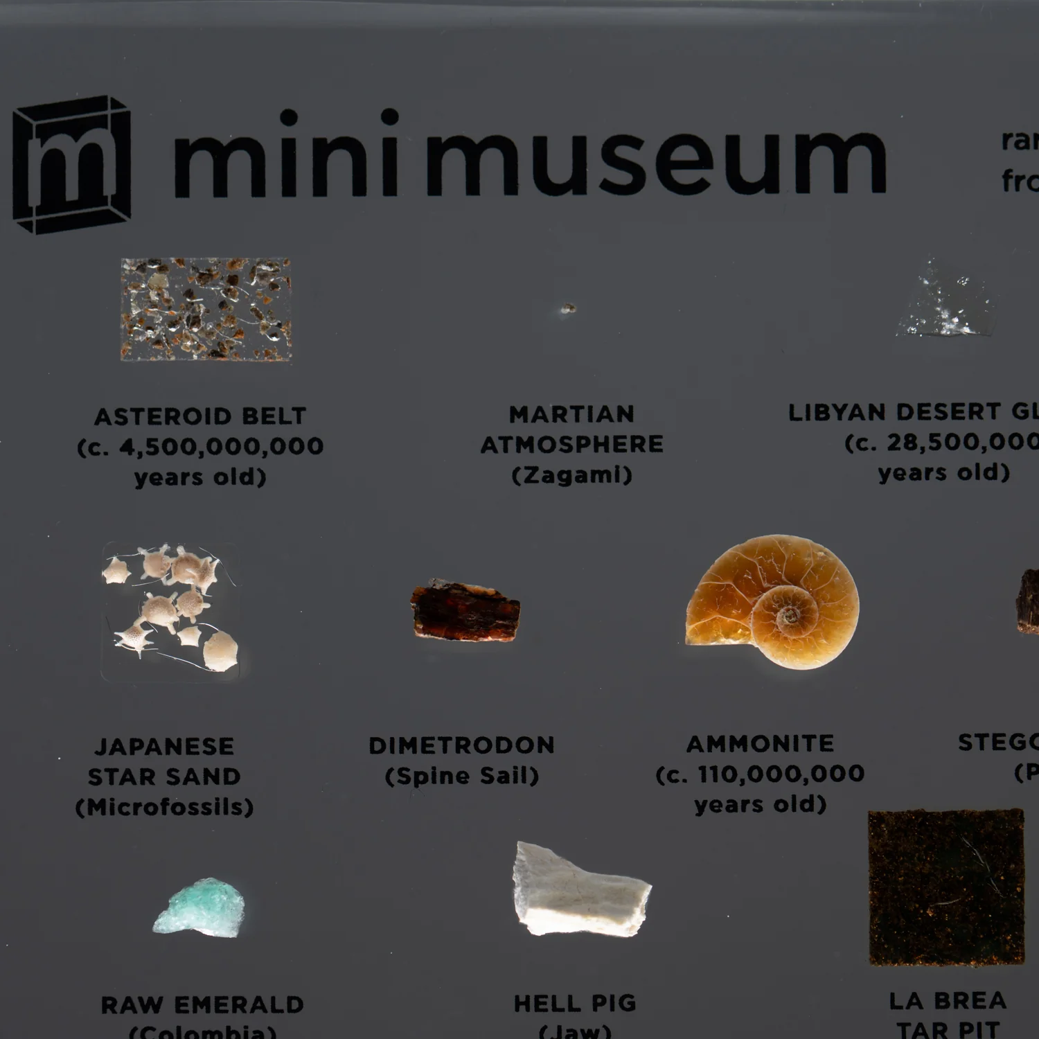 Mini Museum Out of the Vault - Second Edition ID #3686 (LARGE - 26 Specimens) - Image 4