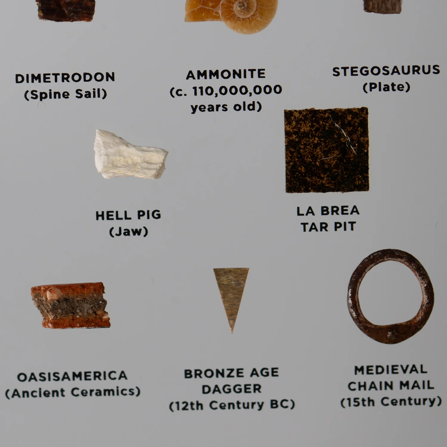 Mini Museum Out of the Vault - Second Edition ID #3686 (LARGE - 26 Specimens) - Image 5