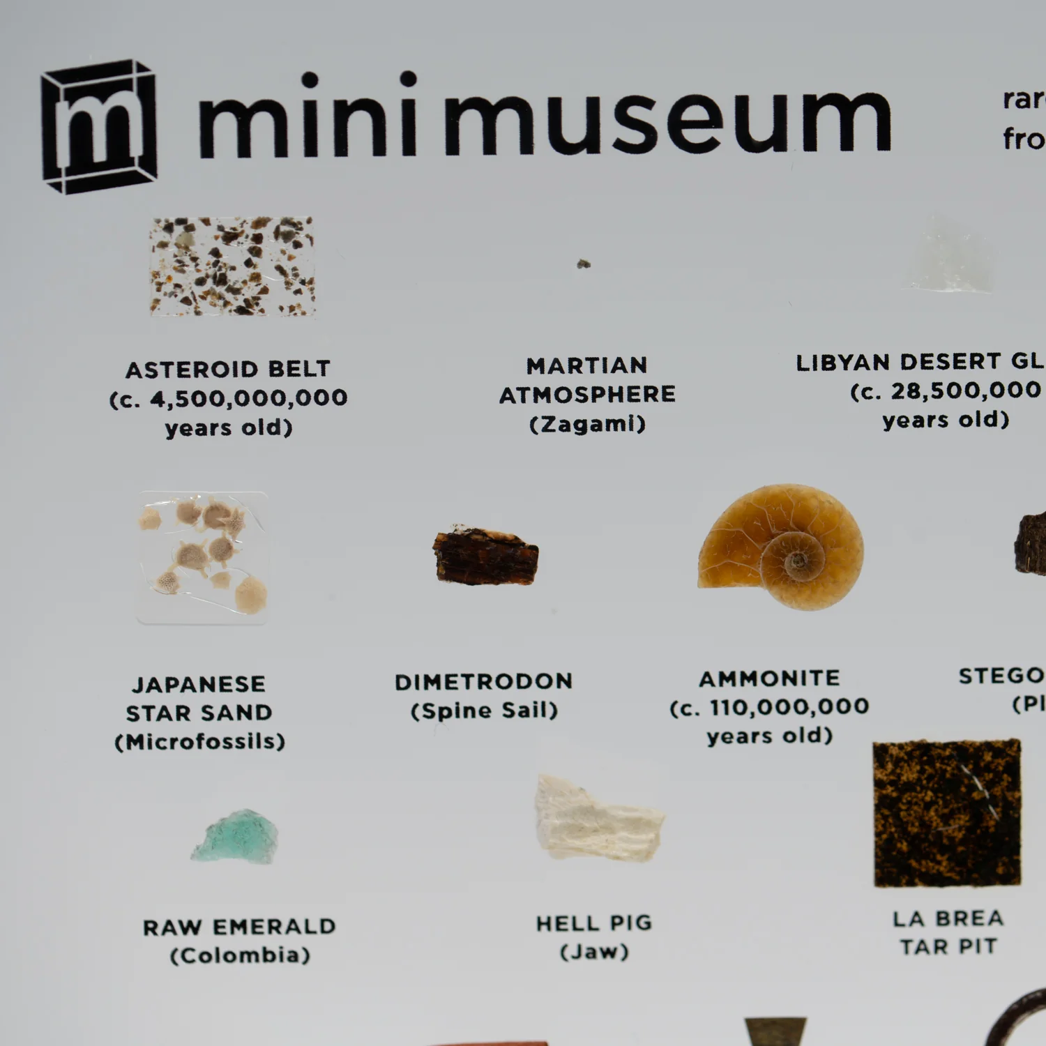 Mini Museum Out of the Vault - Second Edition ID #3686 (LARGE - 26 Specimens) - Image 9