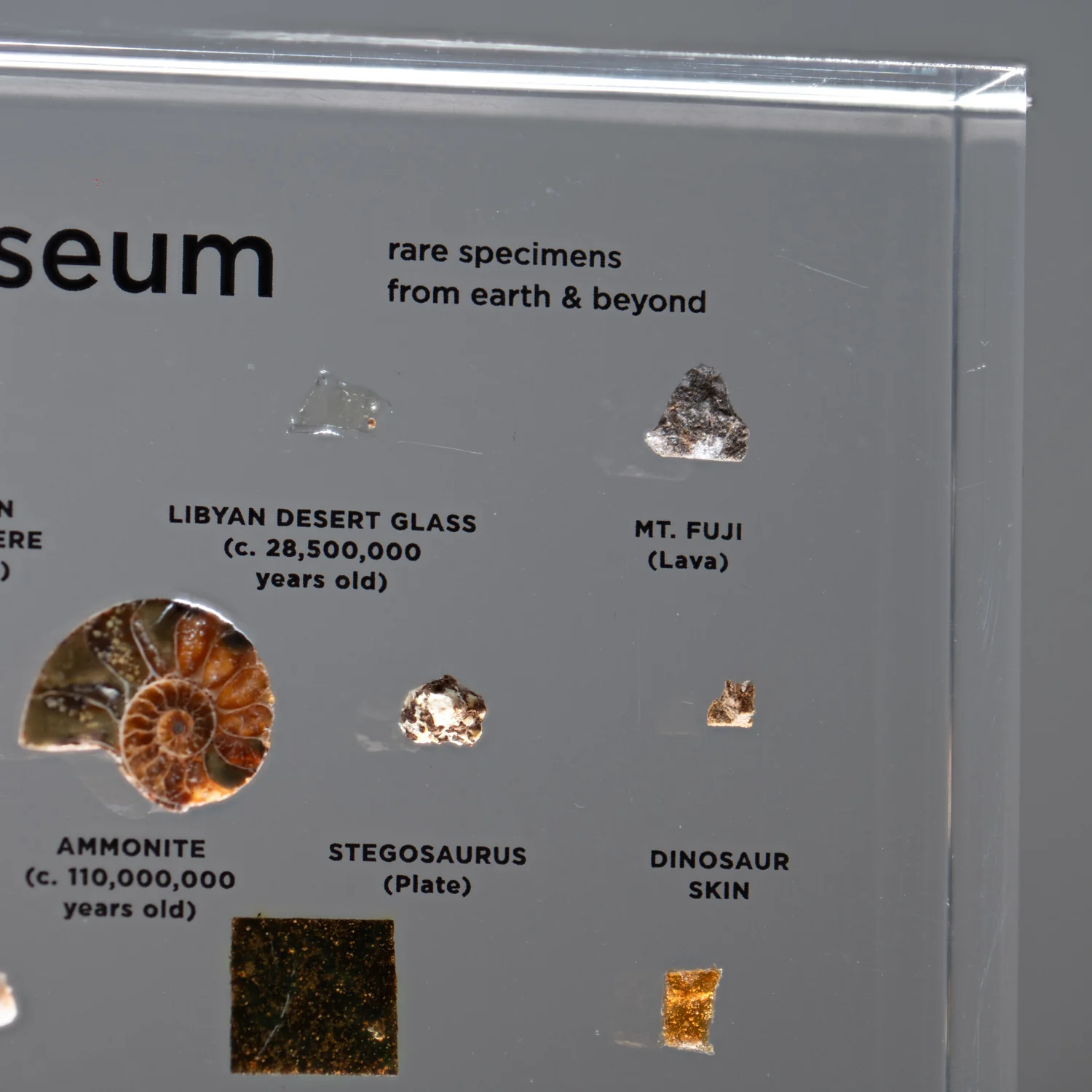 Mini Museum Out of the Vault - Second Edition ID #494 (LARGE - 26 Specimens) - Image 11